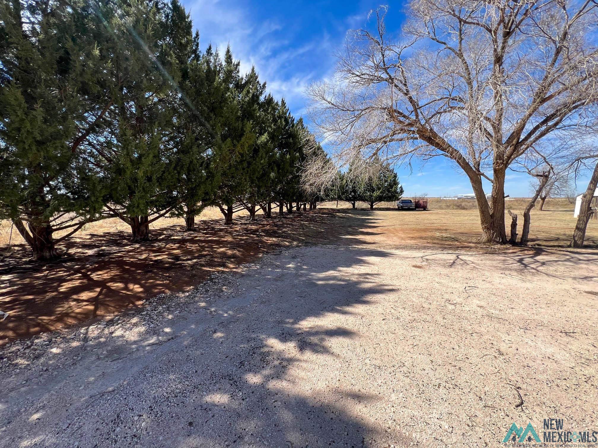 2242 S Roosevelt Road 9 Road, Portales, New Mexico image 2