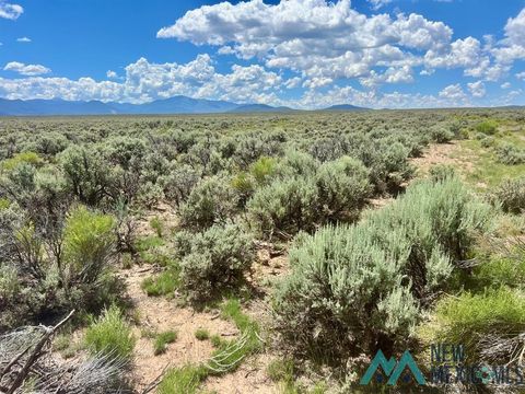 Vacant Land For Sale - Sunshine Road<br/> Questa, NM 87556