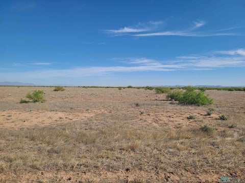 Vacant Land For Sale - XXXX Pampas Rd. Se Road<br/> Deming, NM 88030