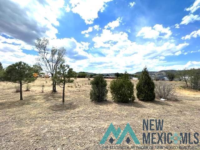 Second Street, Raton, New Mexico image 10