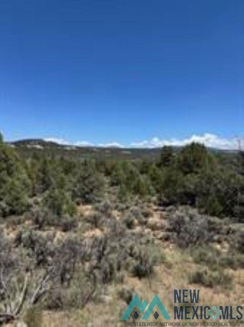 Vacant Land For Sale - LOT 1 Unit 5 Talavara<br/> Rio Arriba County, Tierra Amarilla, NM 87575