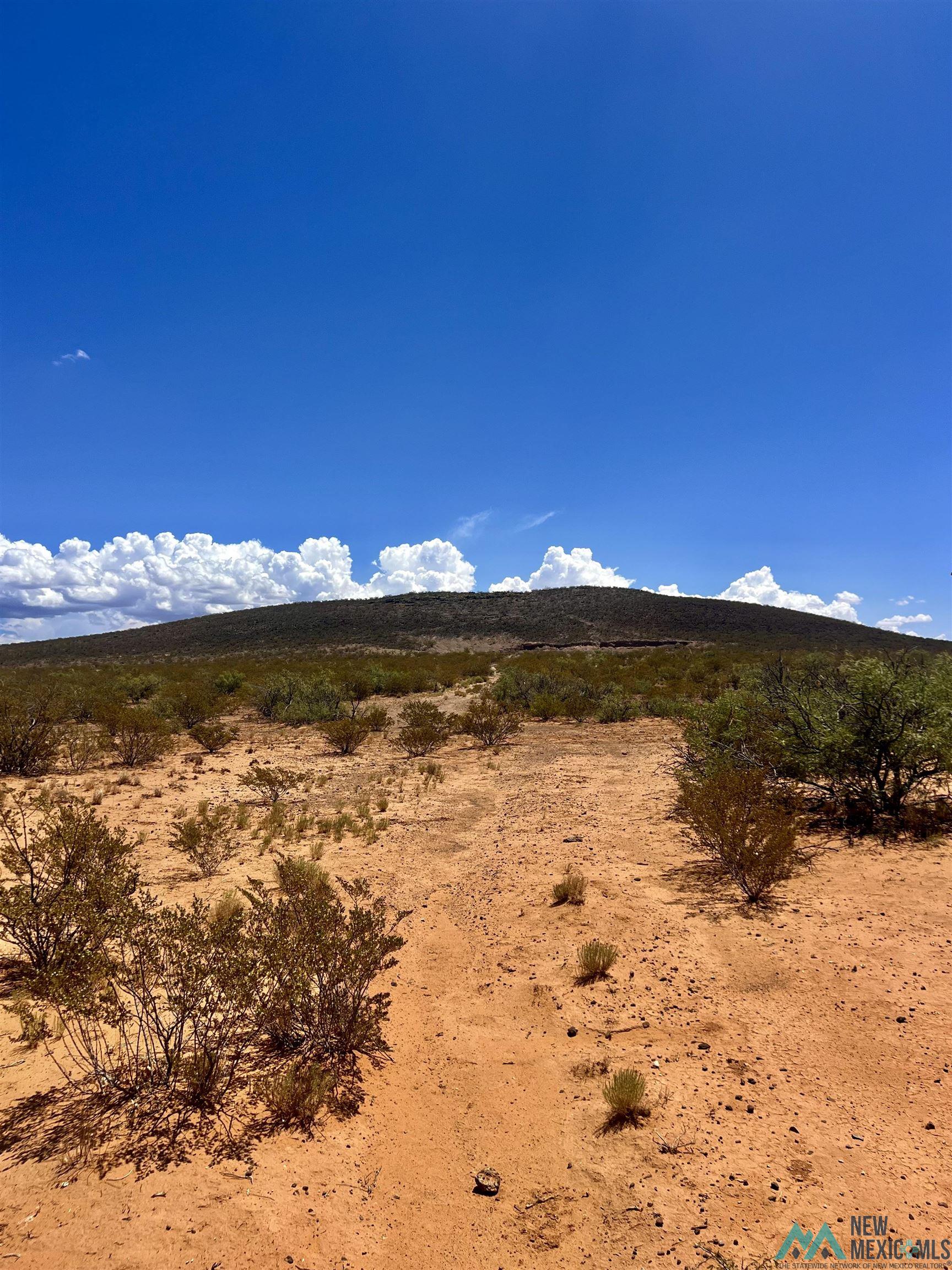 Cutter Road, Cutter, Texas image 4