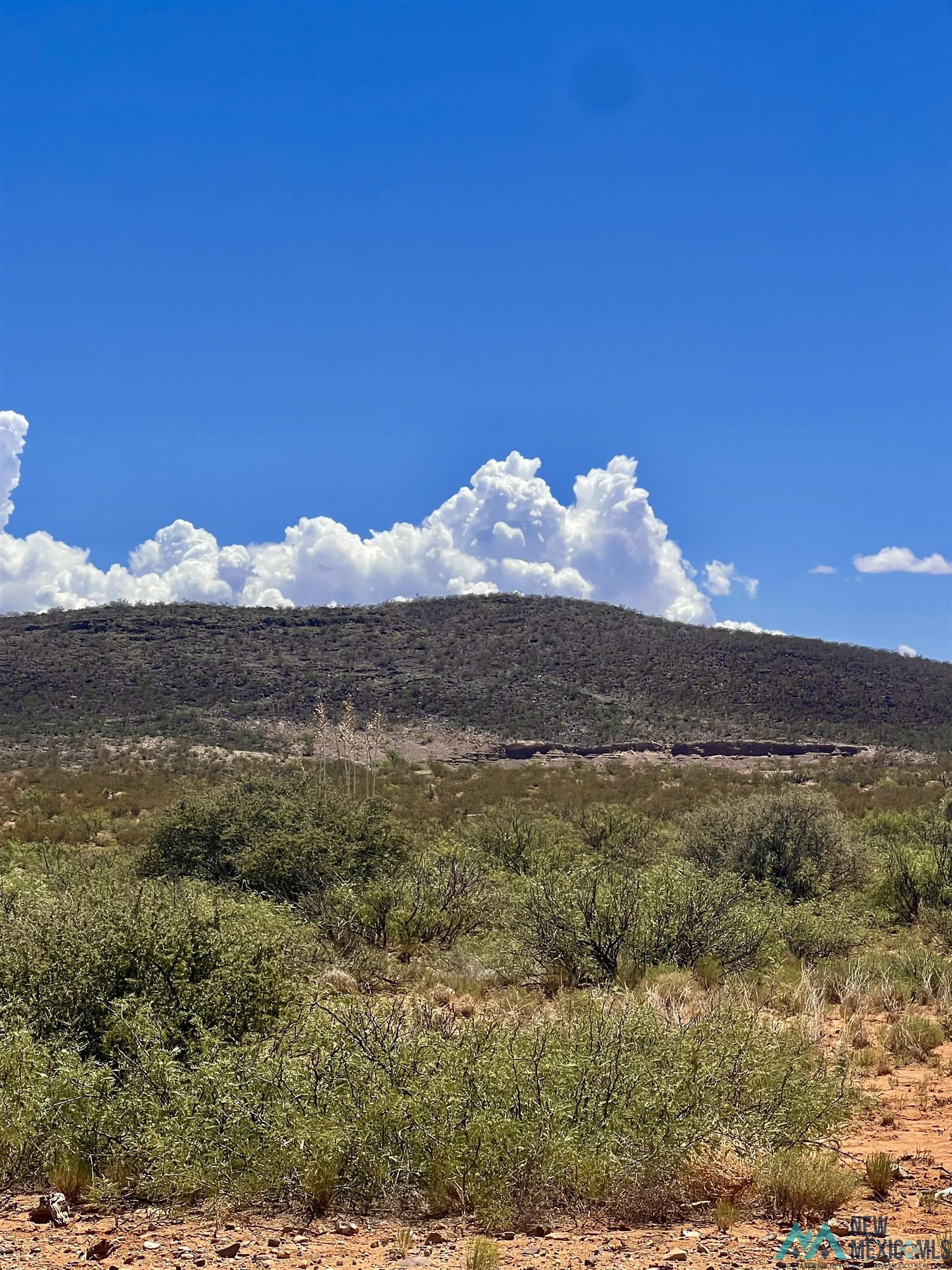 Cutter Road, Cutter, Texas image 3