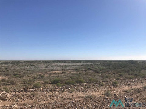 Vacant Land For Sale - 361 Des Moines Street<br/> Hagerman, NM 88323