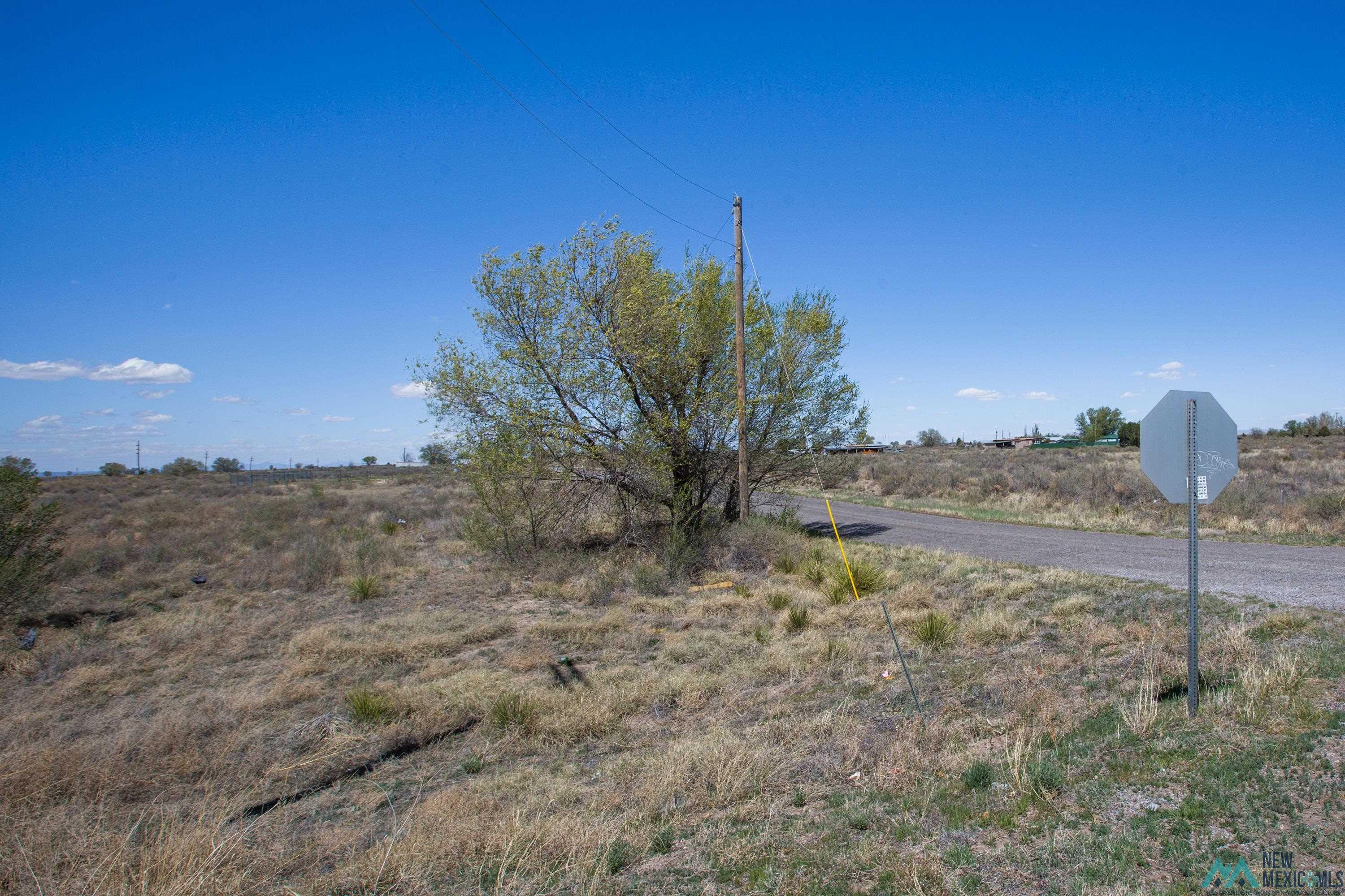 Lot: 1-3 Block 15, Willard, New Mexico image 1