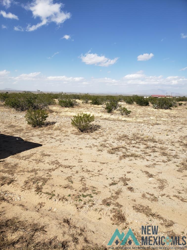 XXX Luna Rd Se, Deming, New Mexico image 2