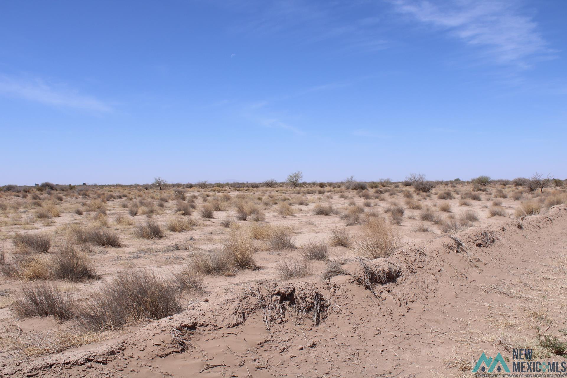 Roja Rd Sw, Deming, New Mexico image 4