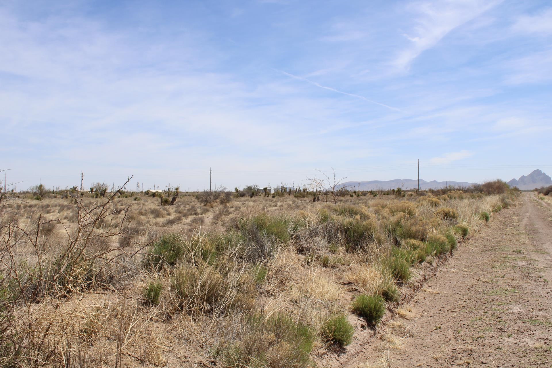 Roja Rd Sw, Deming, New Mexico image 9