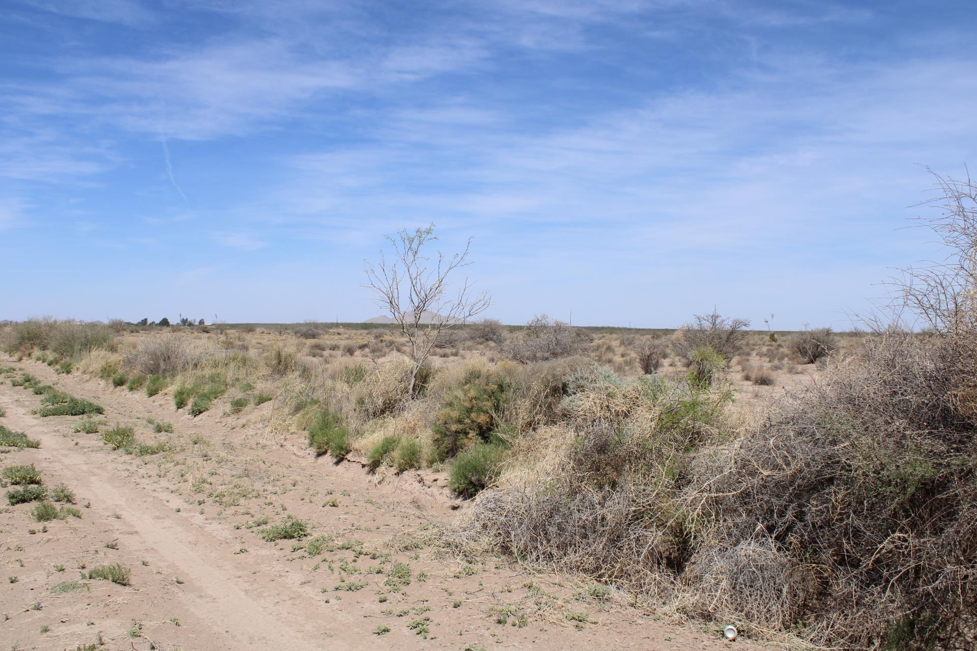 Roja Rd Sw, Deming, New Mexico image 6