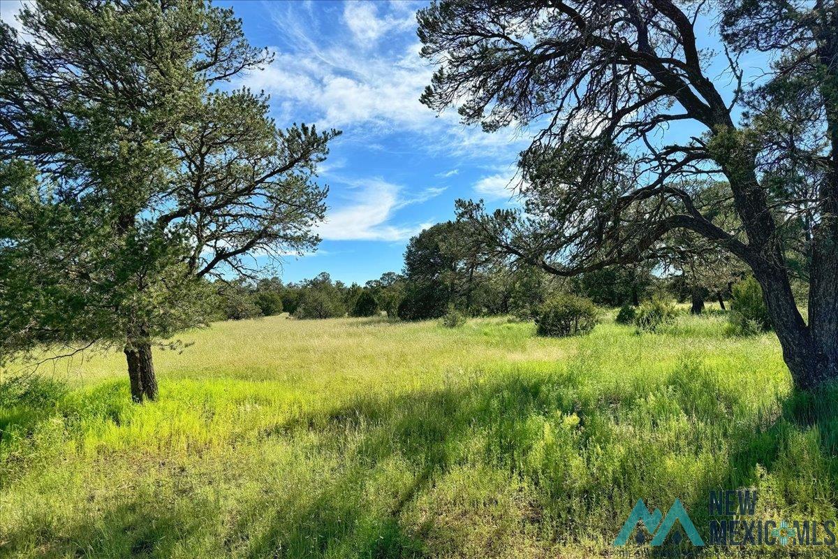 125 Tierra Del Dios Rd, Rowe, New Mexico image 43