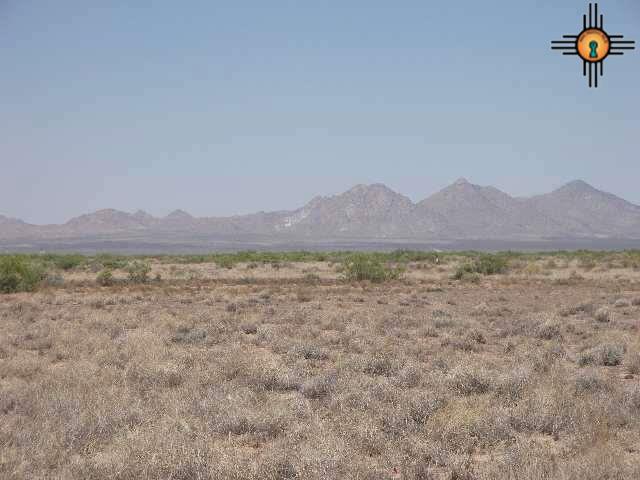 Ne Of Columbus, Columbus, New Mexico image 4