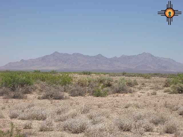 Ne Of Columbus, Columbus, New Mexico image 3