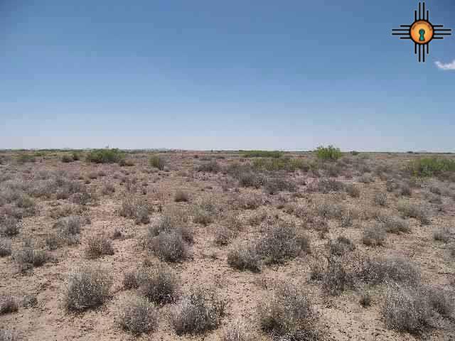 Ne Of Columbus, Columbus, New Mexico image 1