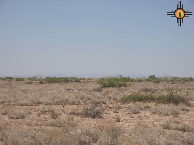 Ne Of Columbus, Columbus, New Mexico image 5