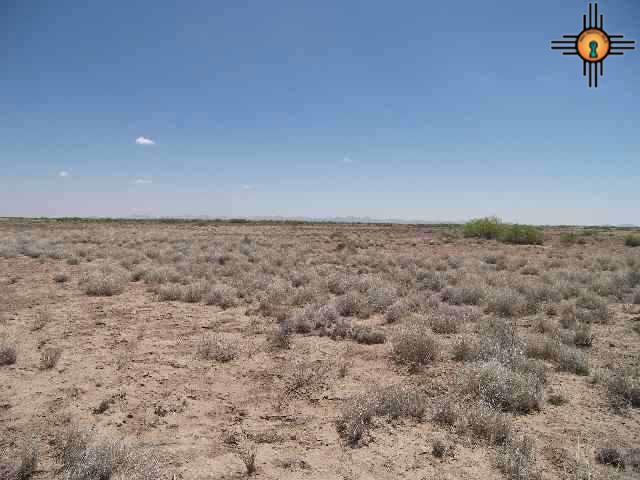 Ne Of Columbus, Columbus, New Mexico image 2