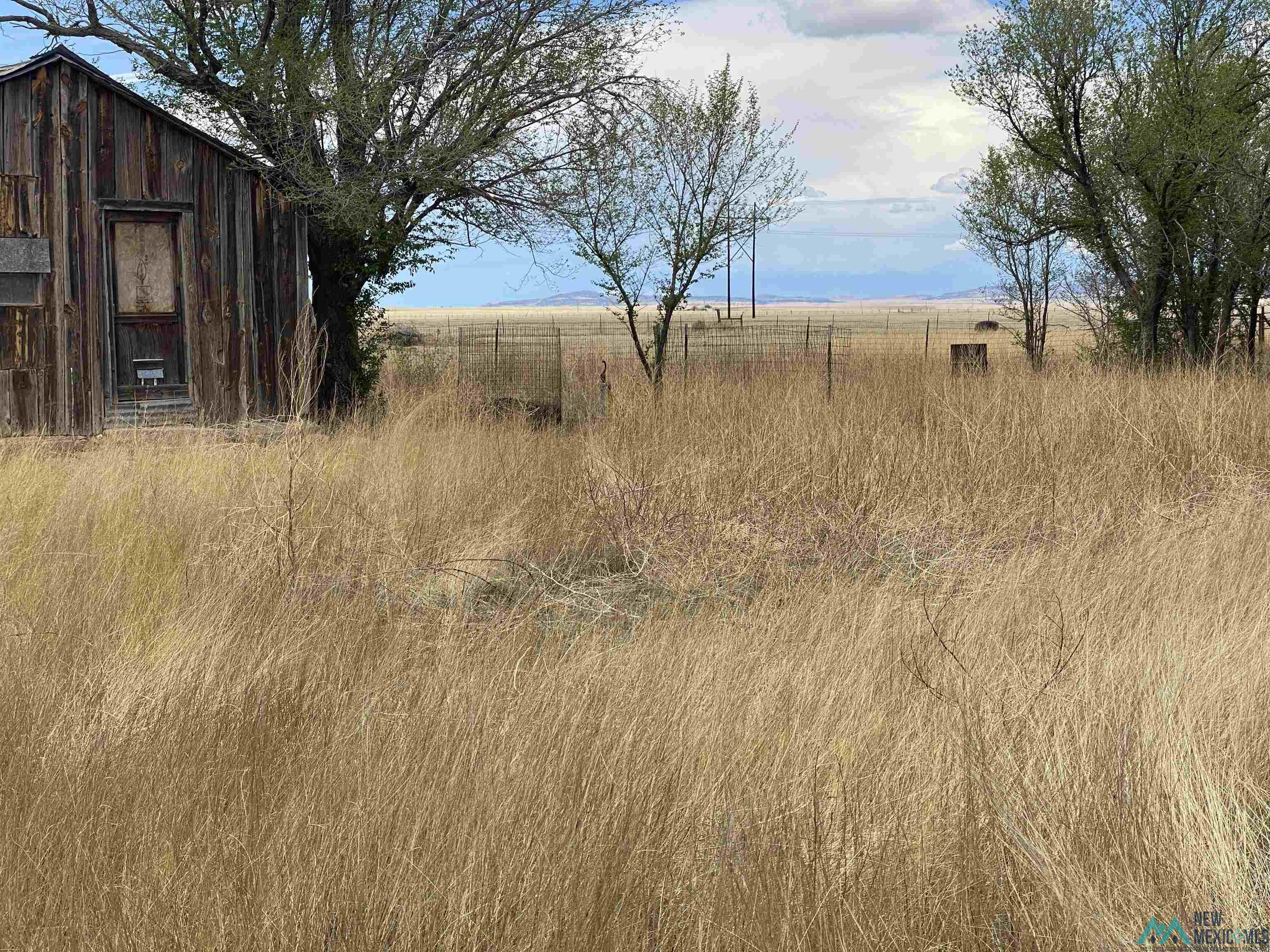 131 Bullard Road, Clayton, New Mexico image 6