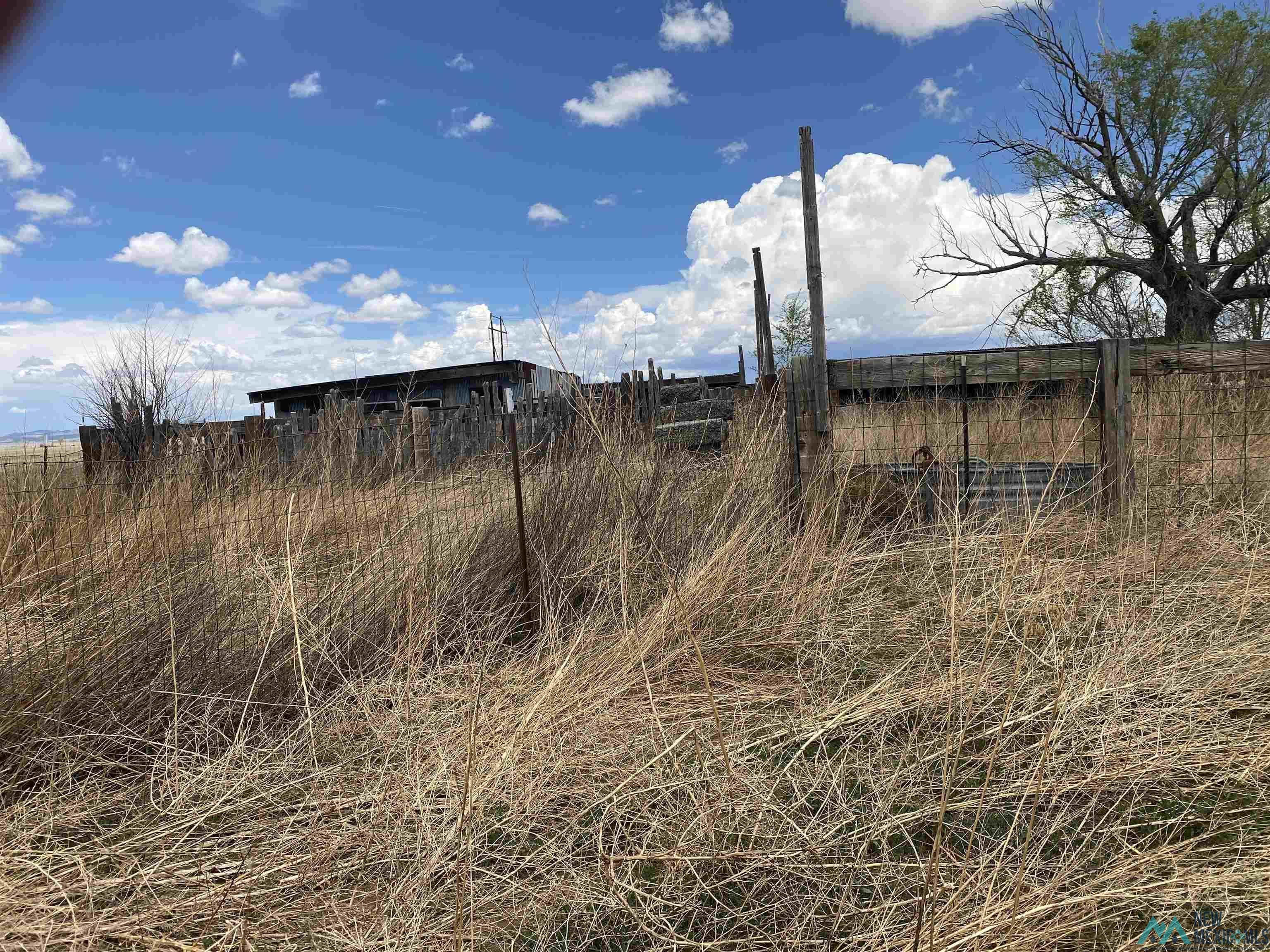 131 Bullard Road, Clayton, New Mexico image 7