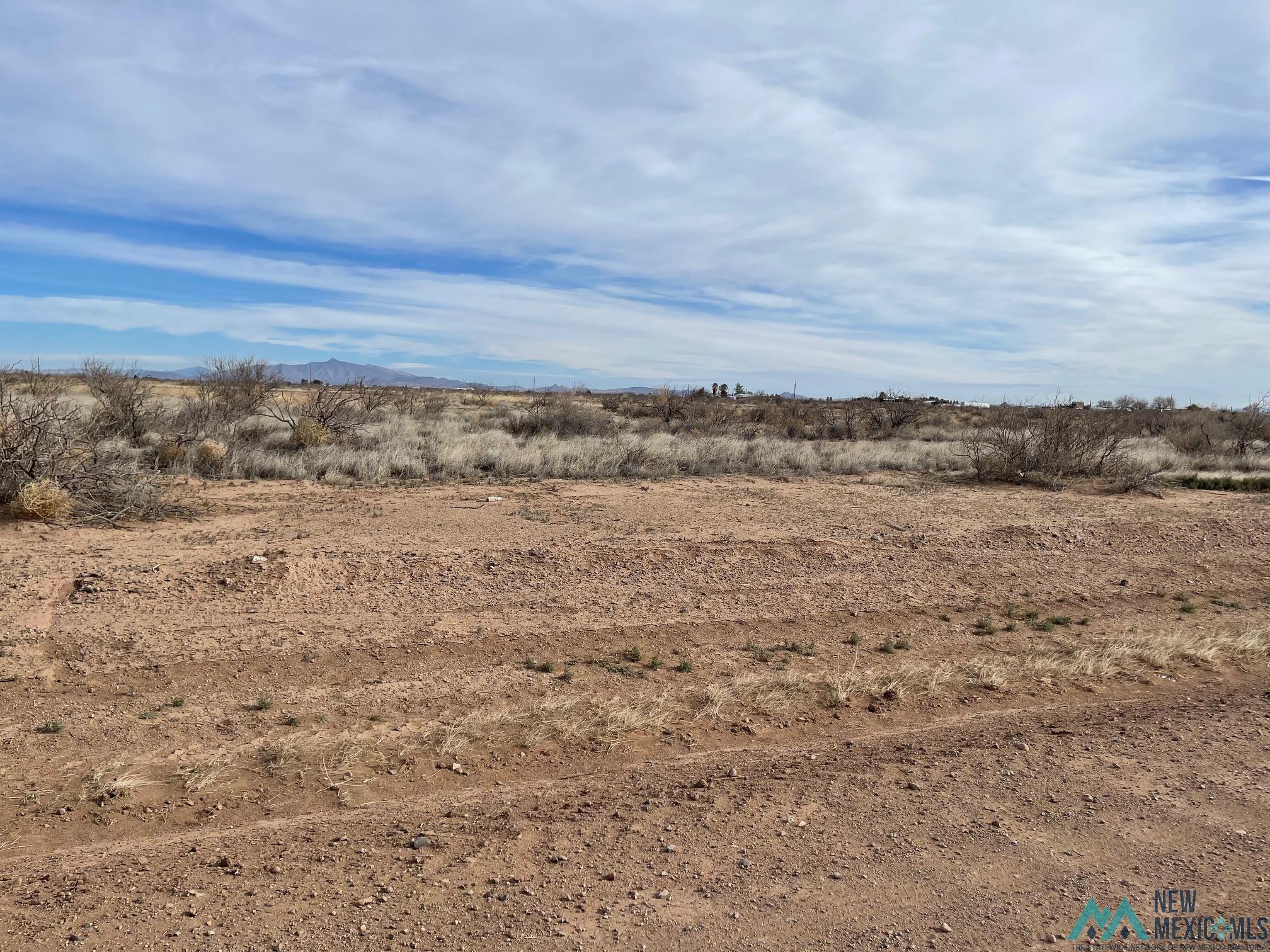 XXXX Rockhound Rd Sw, Deming, New Mexico image 1