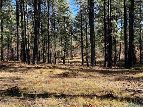 Vacant Land For Sale - Venado Road<br/> Rio Arriba County, Chama, NM 87520