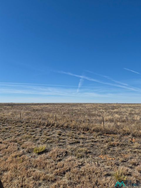 Vacant Land For Sale - 000 206 Highway<br/> Roosevelt County, Pep, NM 88126
