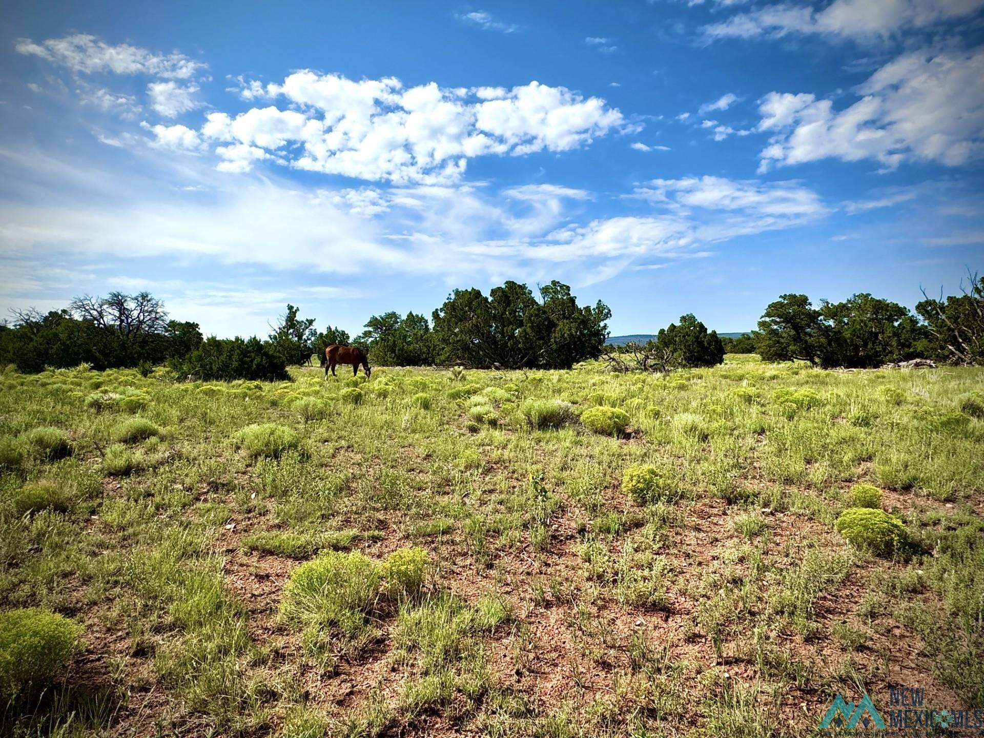 Lot 1 Seewald Estates, Thoreau, Texas image 1