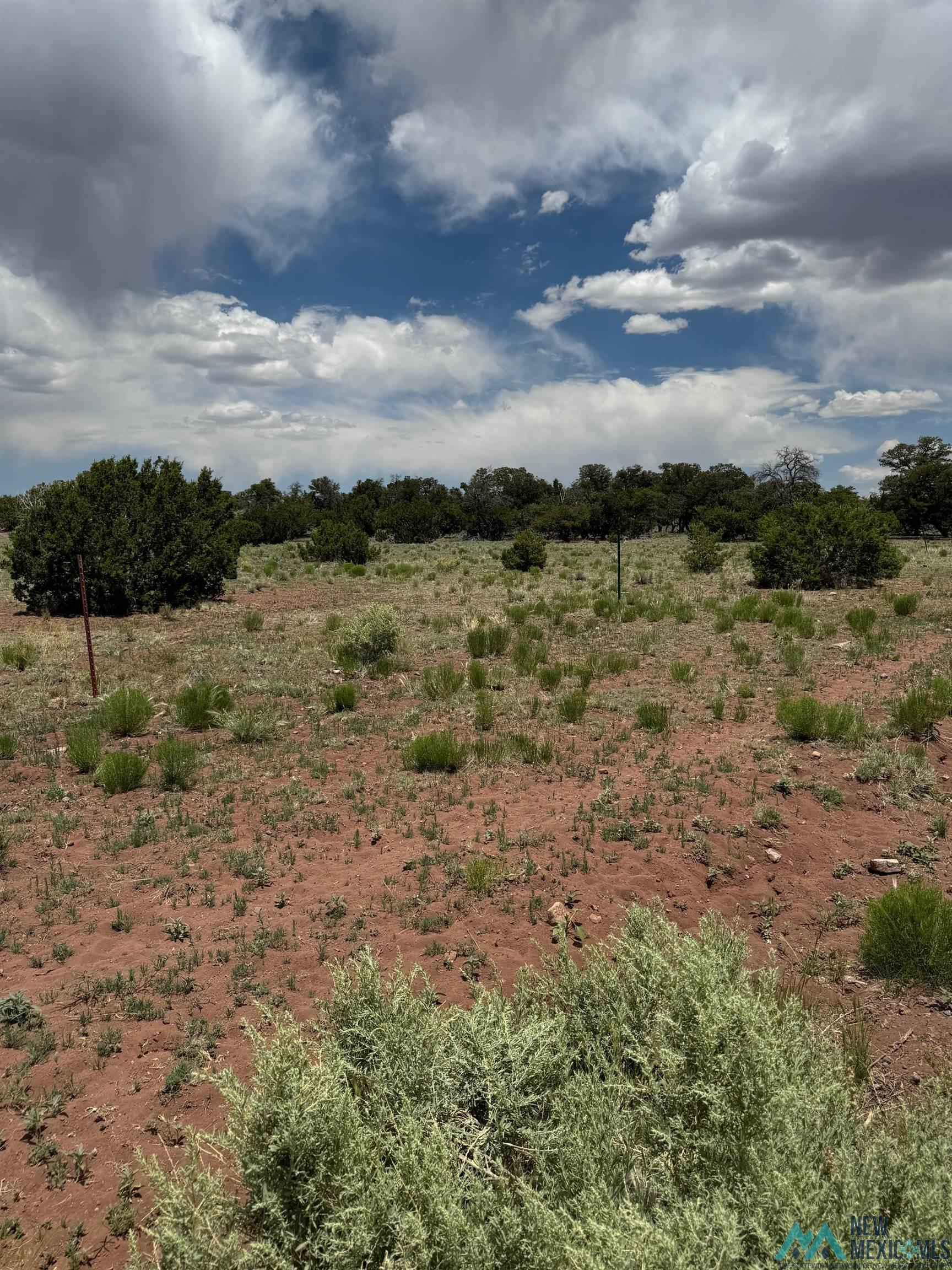 Lot 1 Seewald Estates, Thoreau, Texas image 3