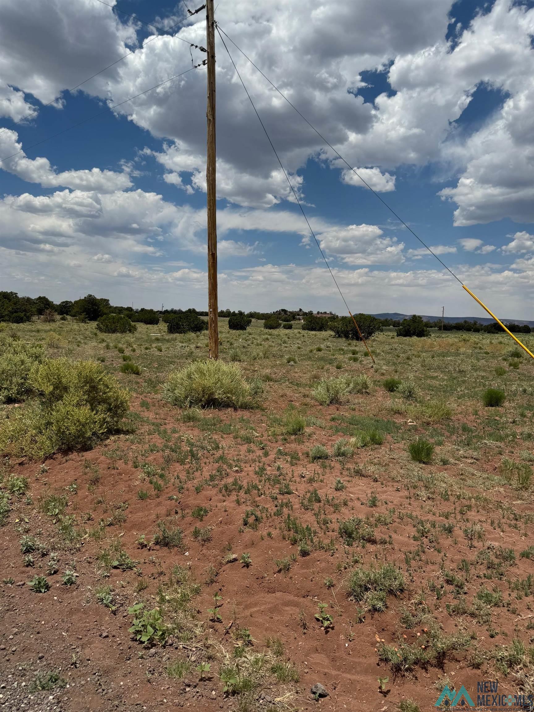 Lot 1 Seewald Estates, Thoreau, Texas image 7