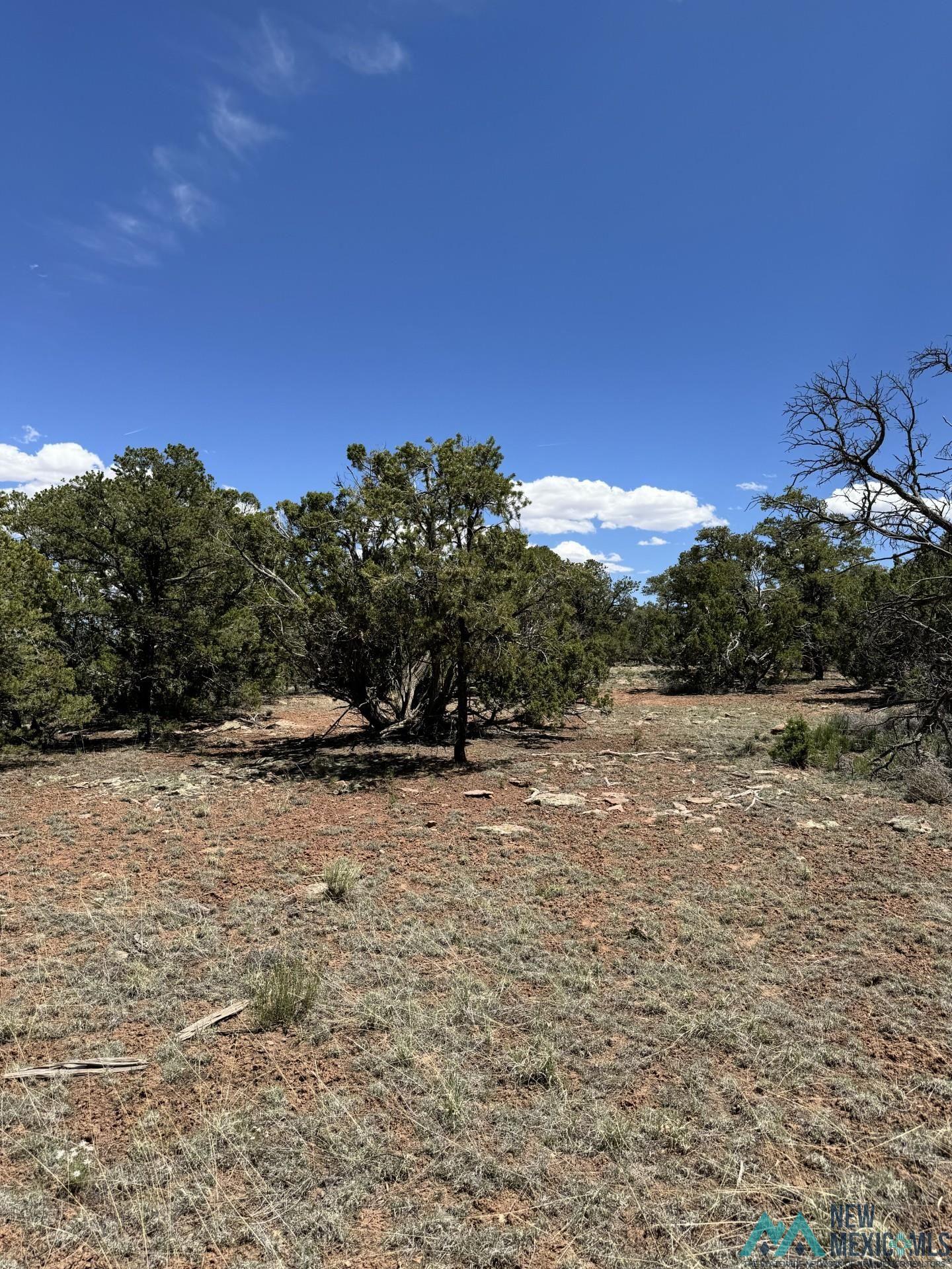 Lot 1 Seewald Estates, Thoreau, Texas image 8