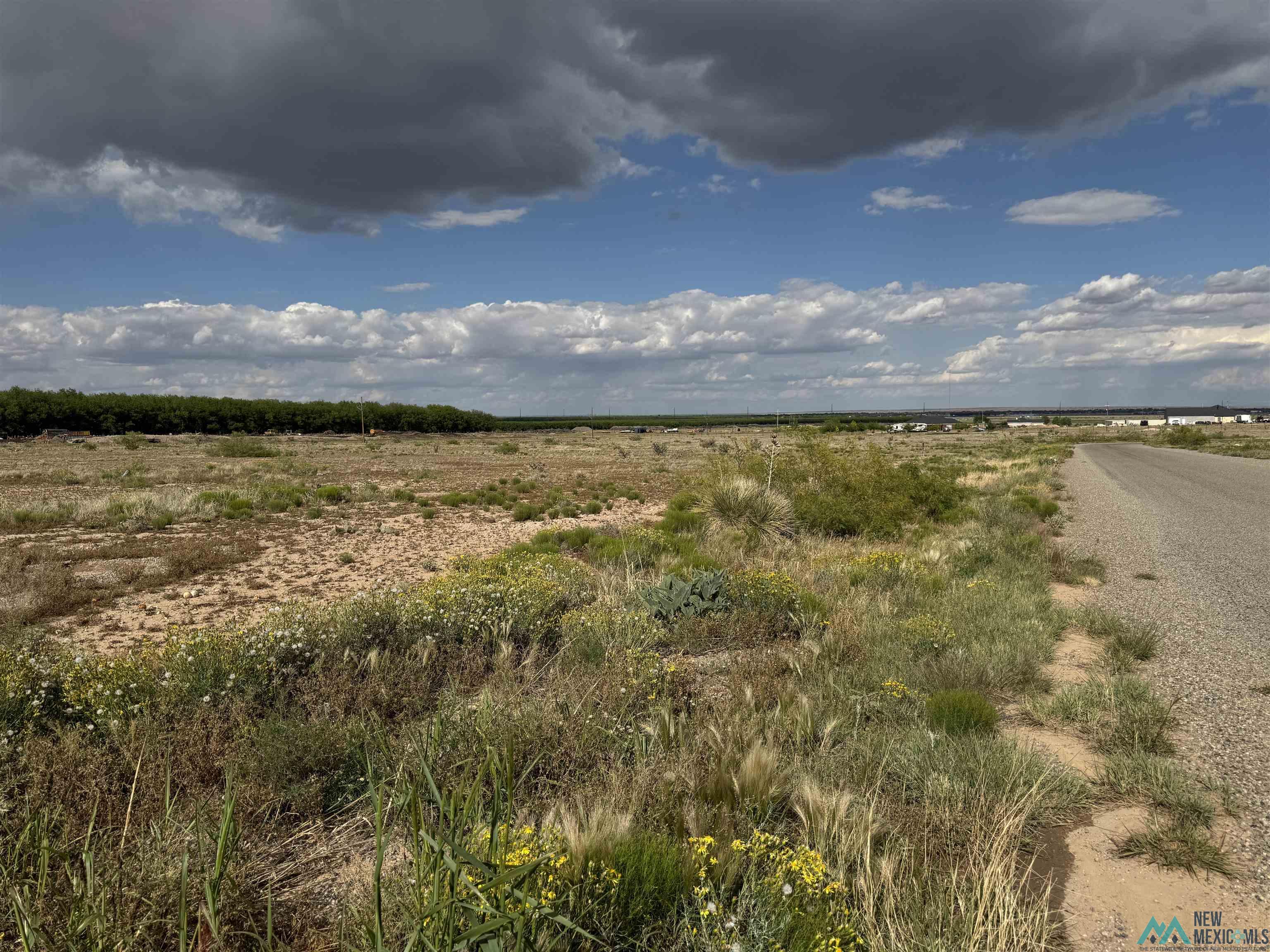 Lot 13 Townsend Trail, Roswell, Texas image 10