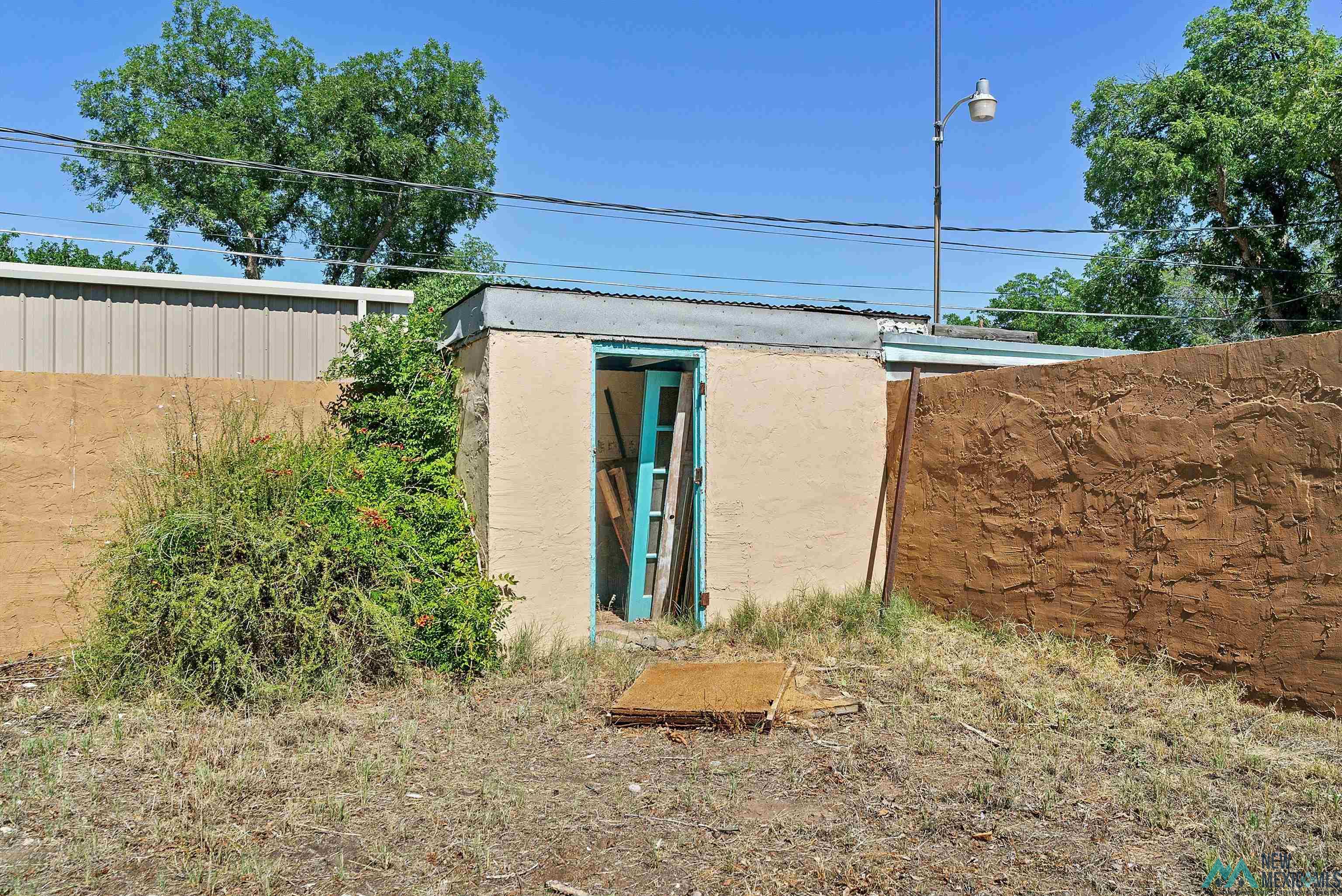 1106 Tracy Place, Carlsbad, Texas image 37