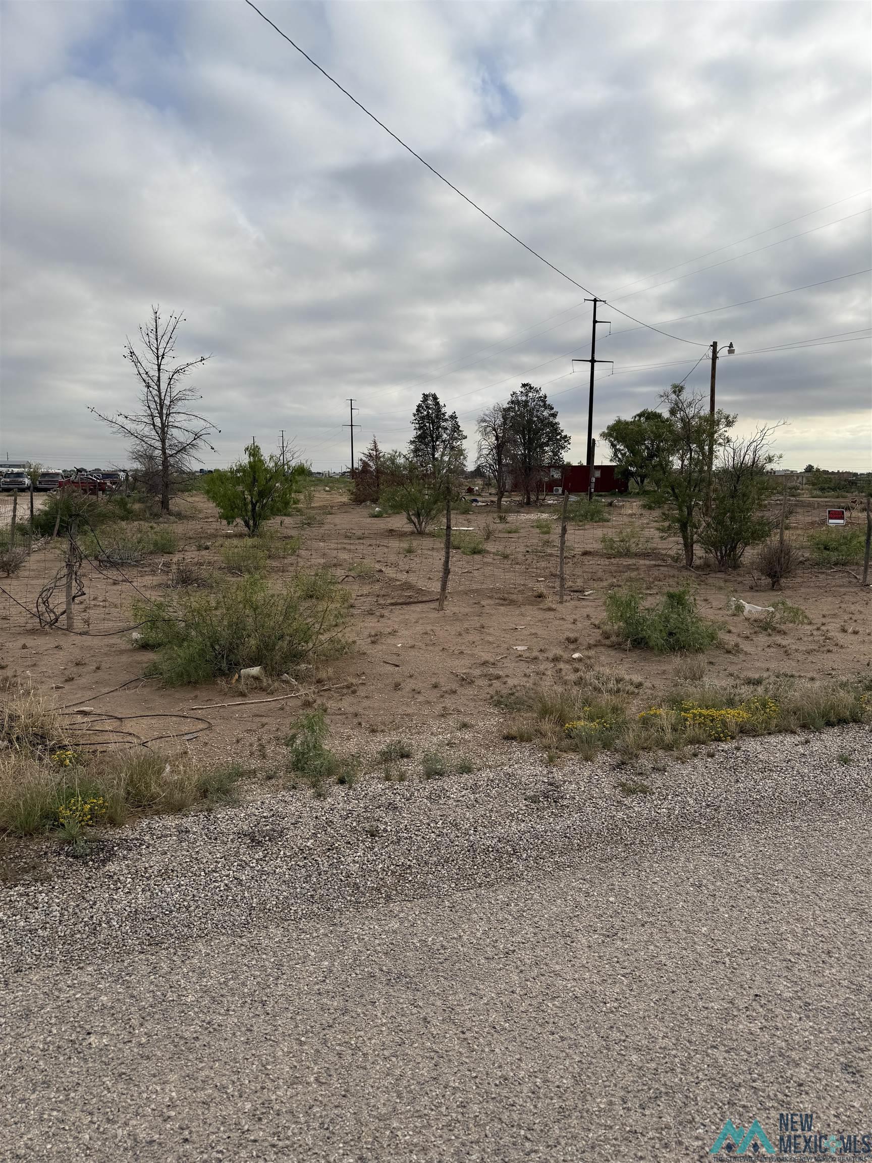 708 Winchester Road, Carlsbad, Texas image 1