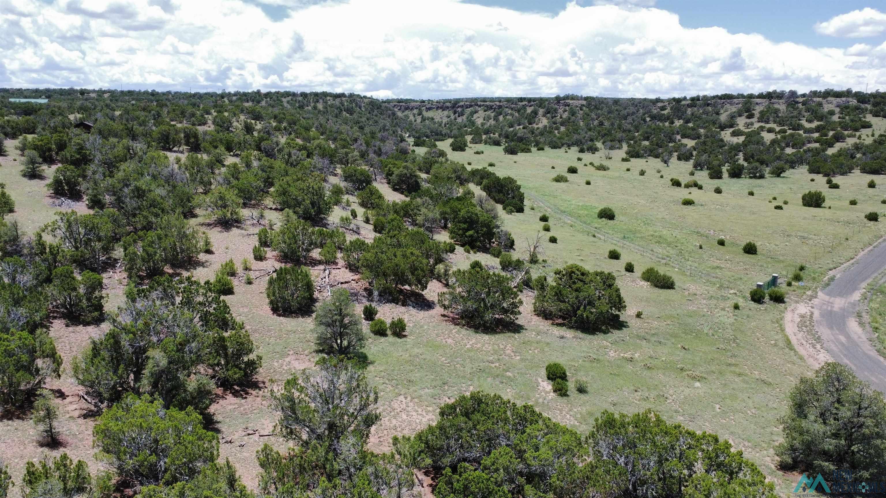 Lot 46 Cimarron Drive, Quemado, Texas image 4