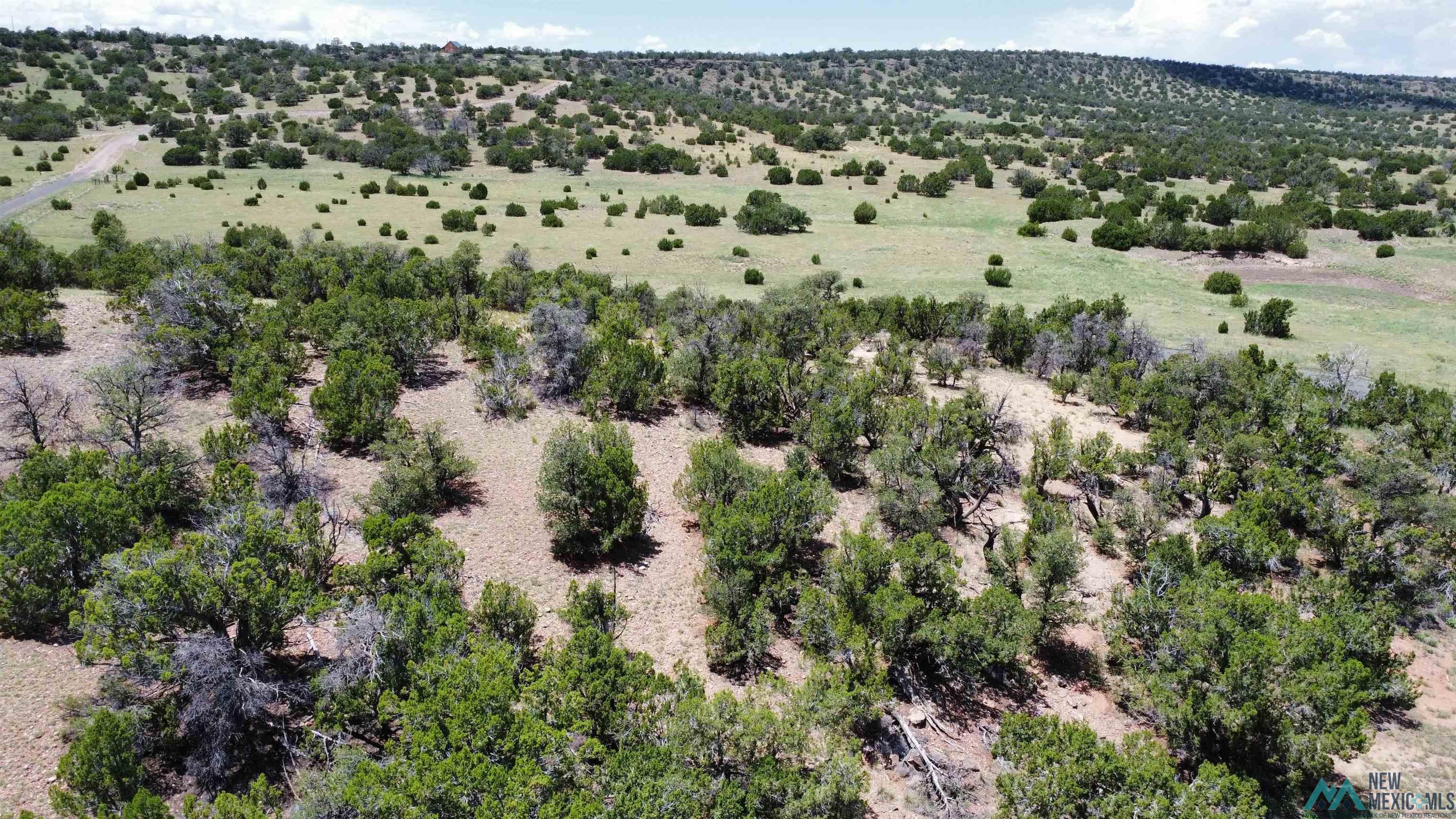 Lot 46 Cimarron Drive, Quemado, Texas image 3