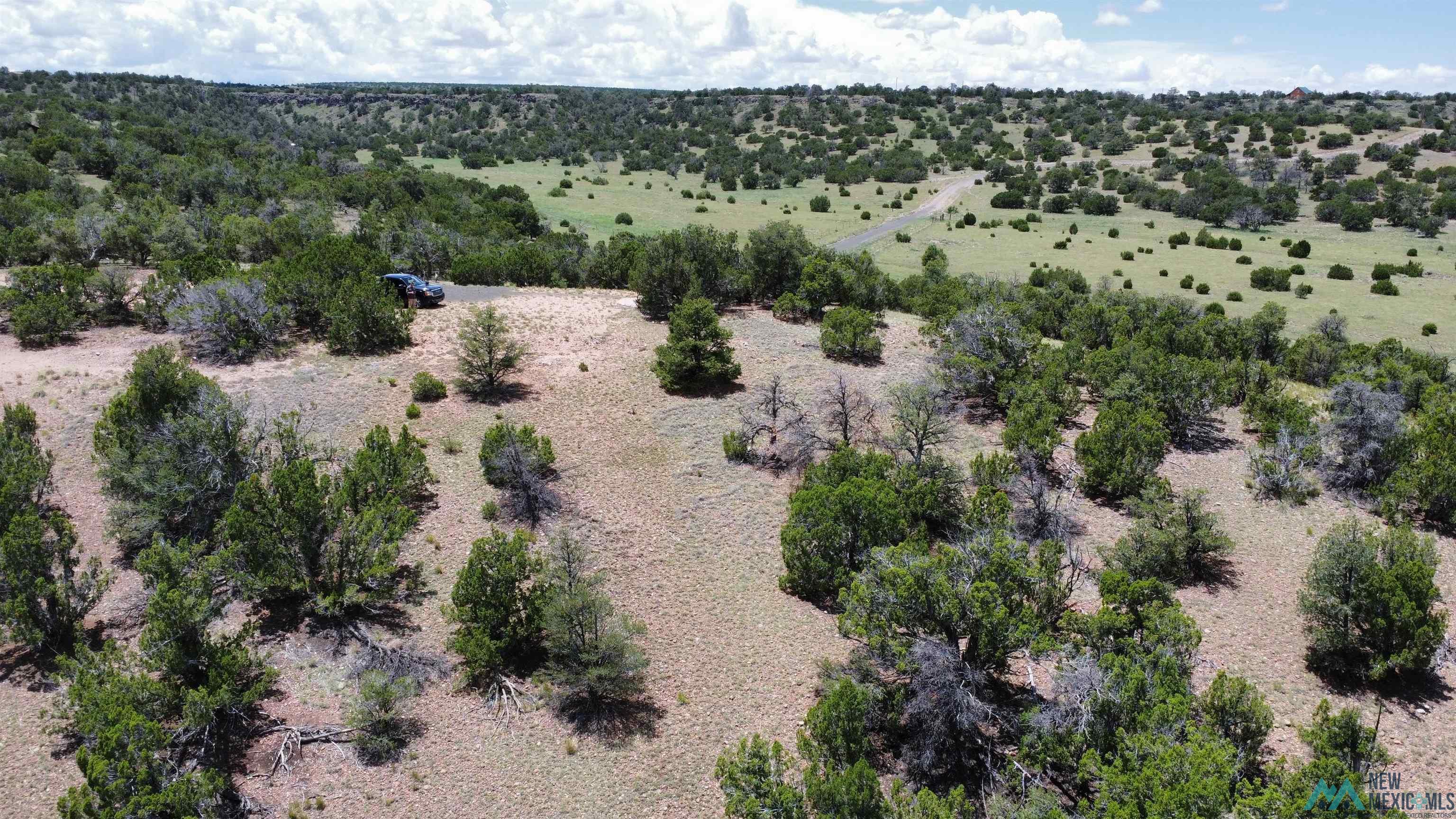 Lot 46 Cimarron Drive, Quemado, Texas image 5