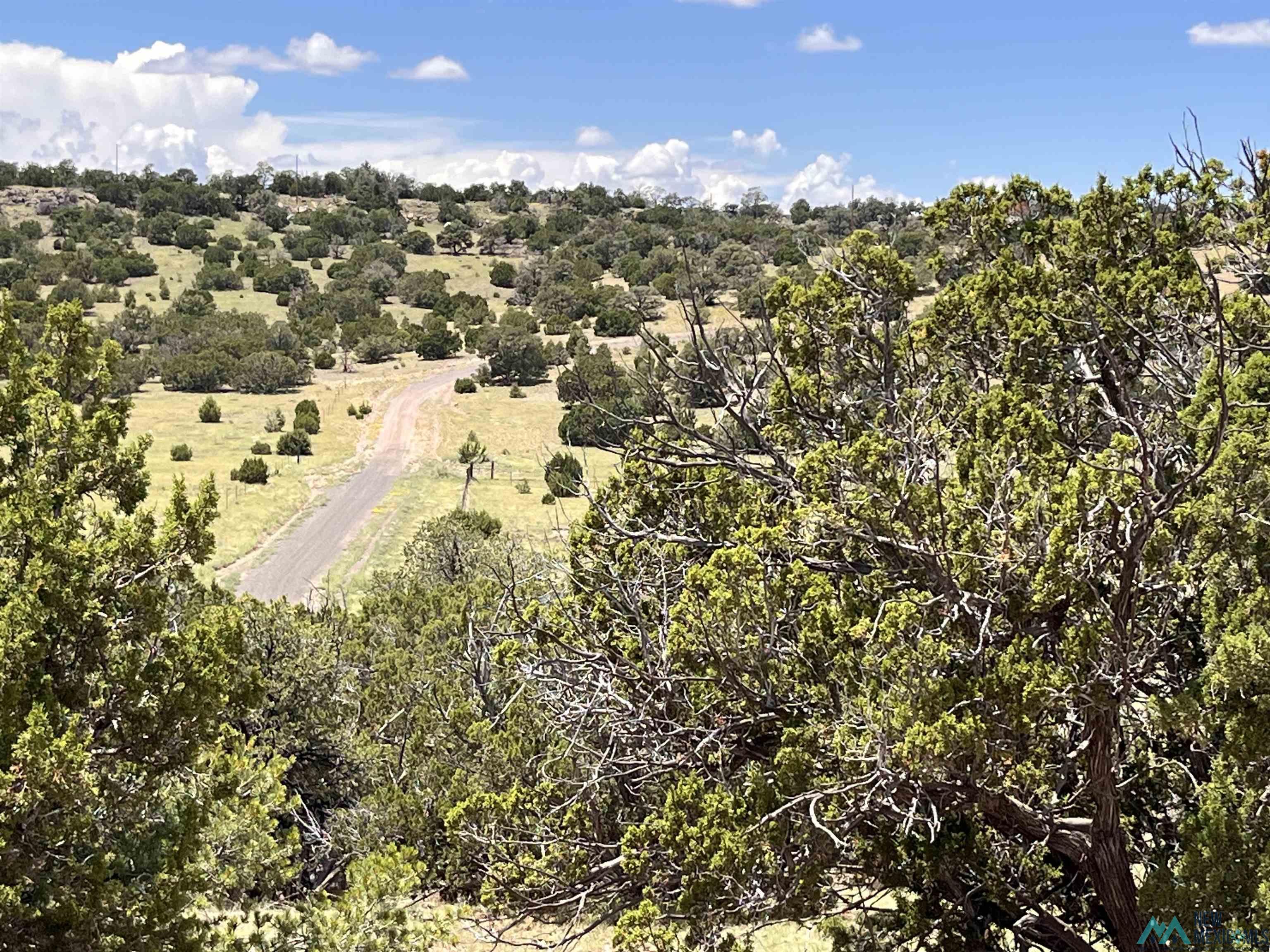 Lot 46 Cimarron Drive, Quemado, Texas image 10