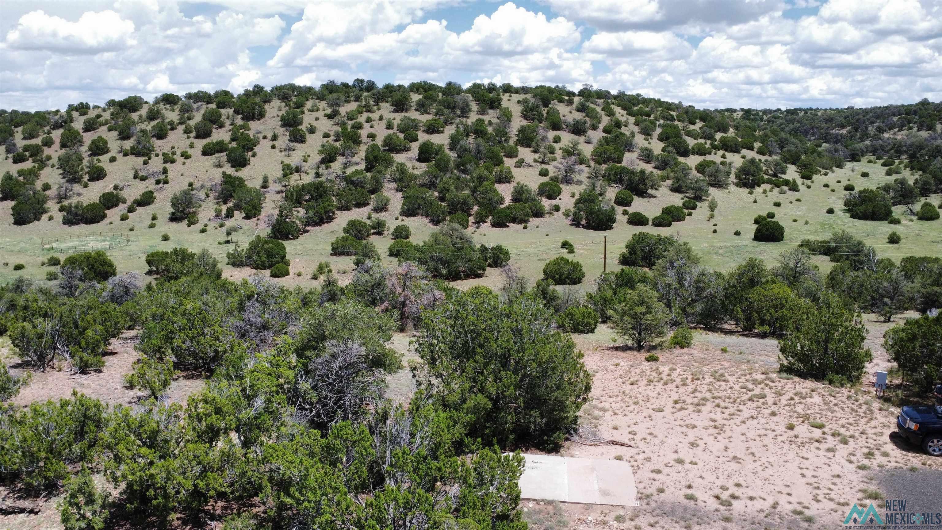 Lot 46 Cimarron Drive, Quemado, Texas image 2