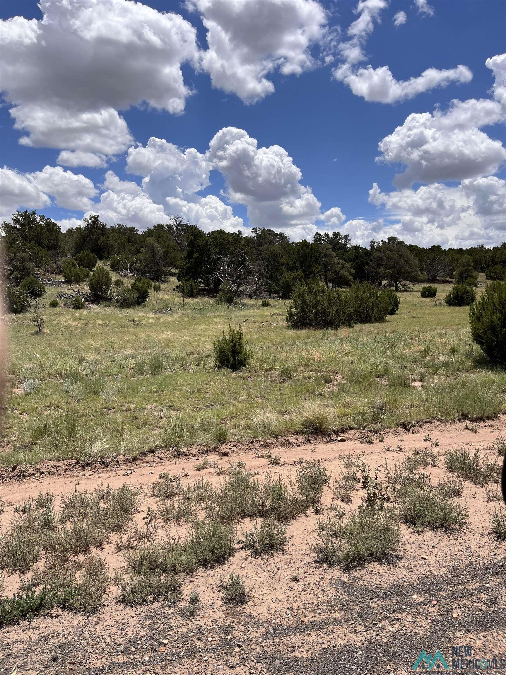 Lot 46 Cimarron Drive, Quemado, Texas image 12