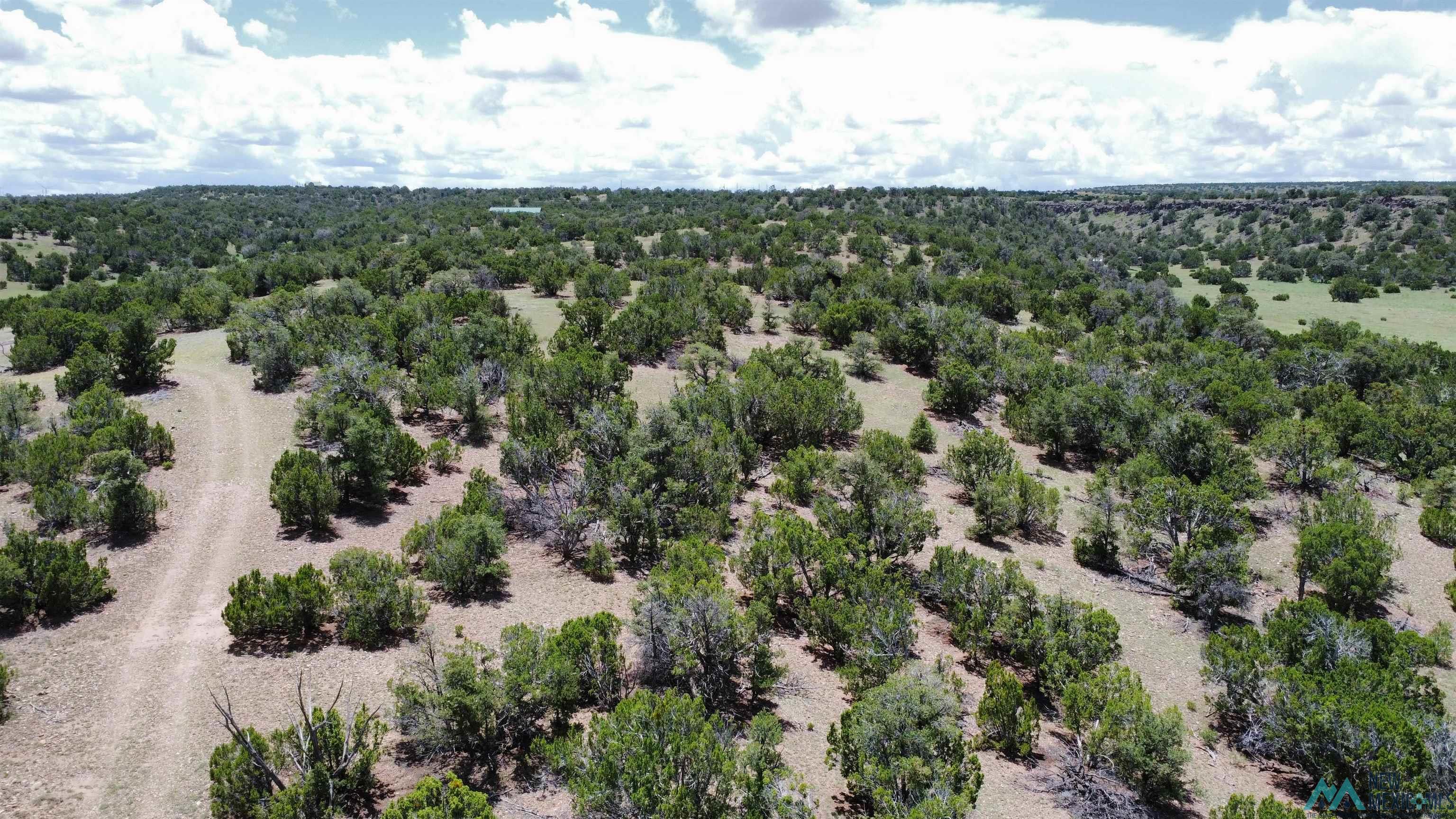 Lot 46 Cimarron Drive, Quemado, Texas image 1