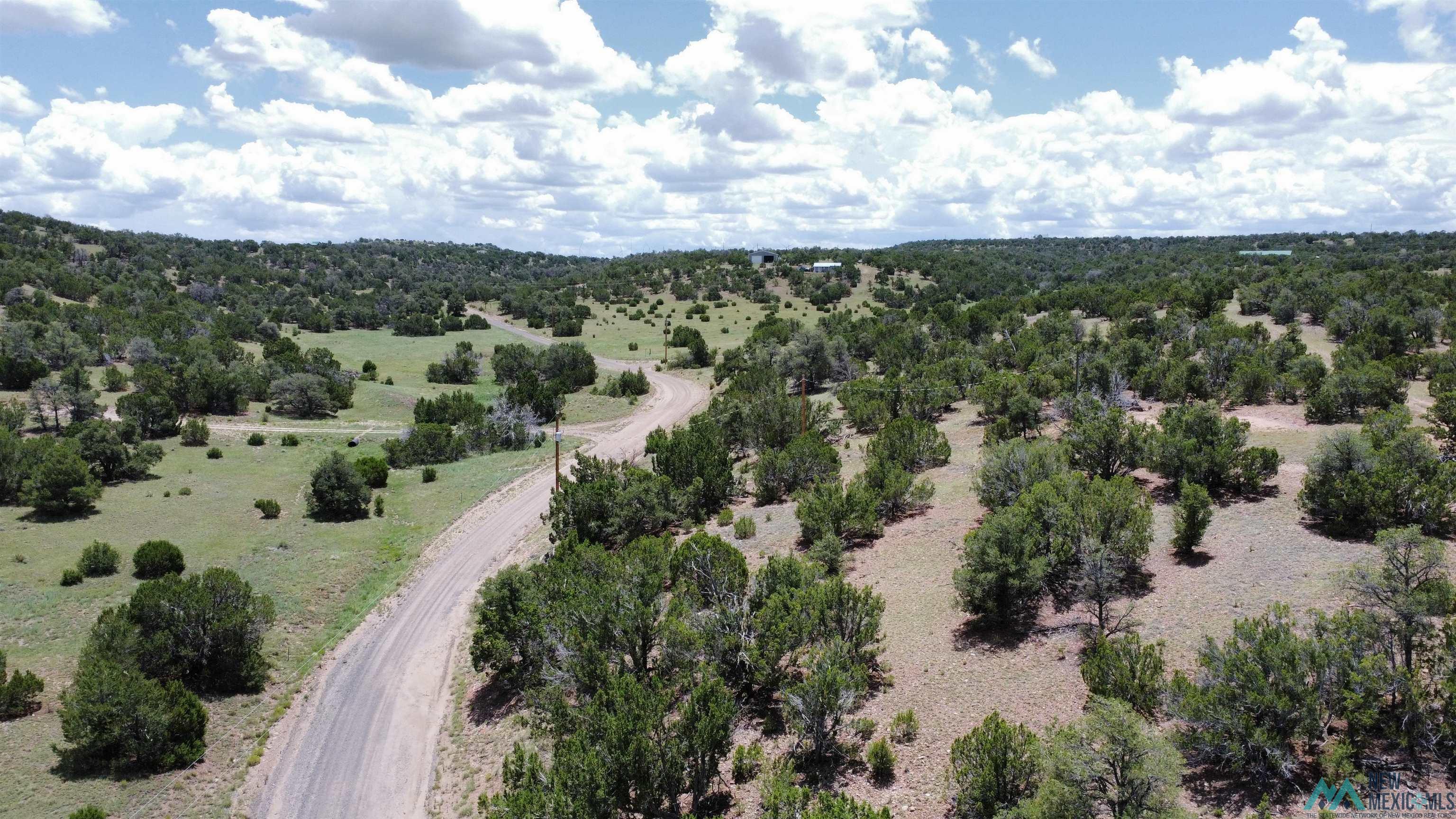 Lot 46 Cimarron Drive, Quemado, Texas image 8