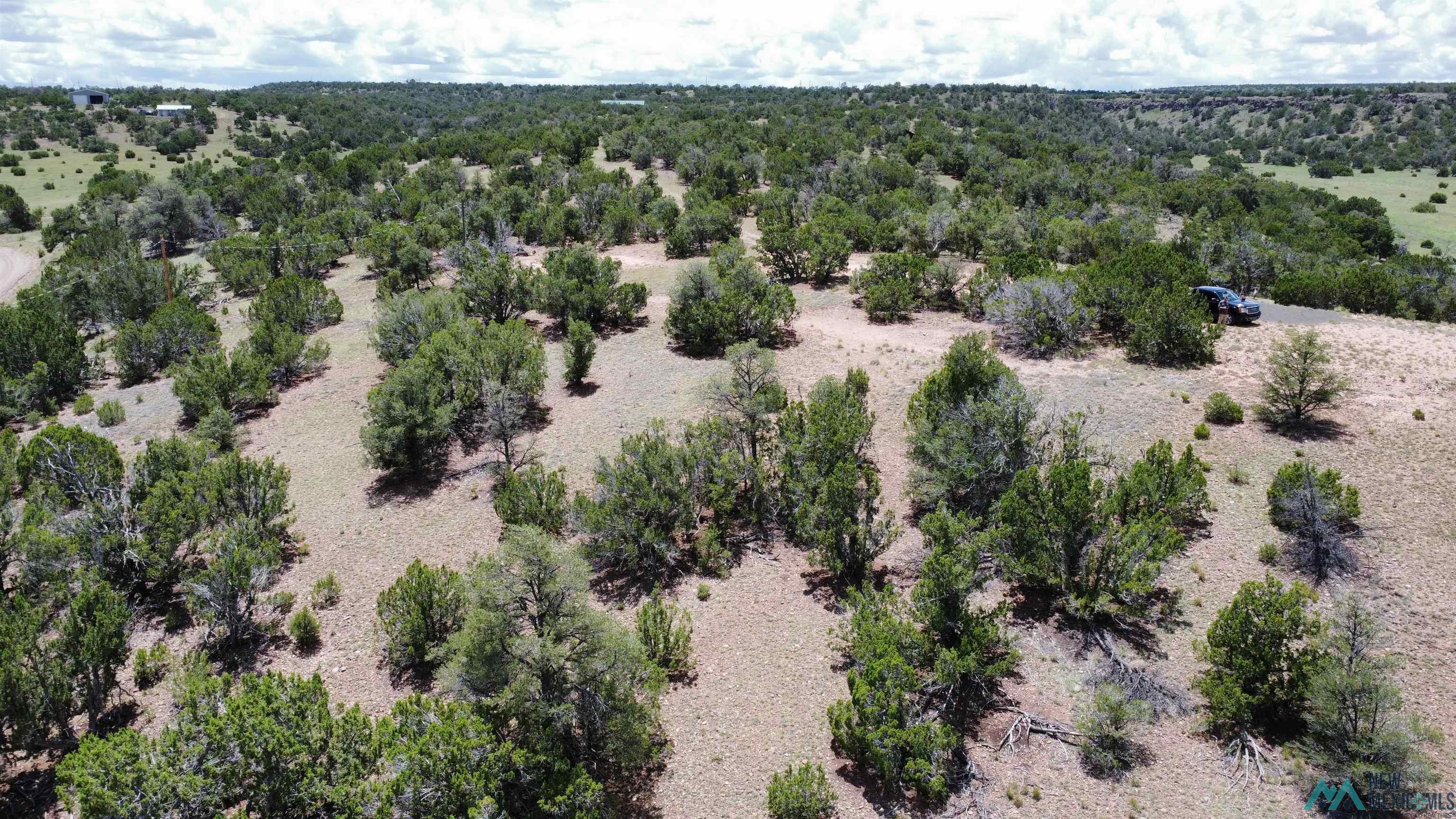 Lot 46 Cimarron Drive, Quemado, Texas image 7