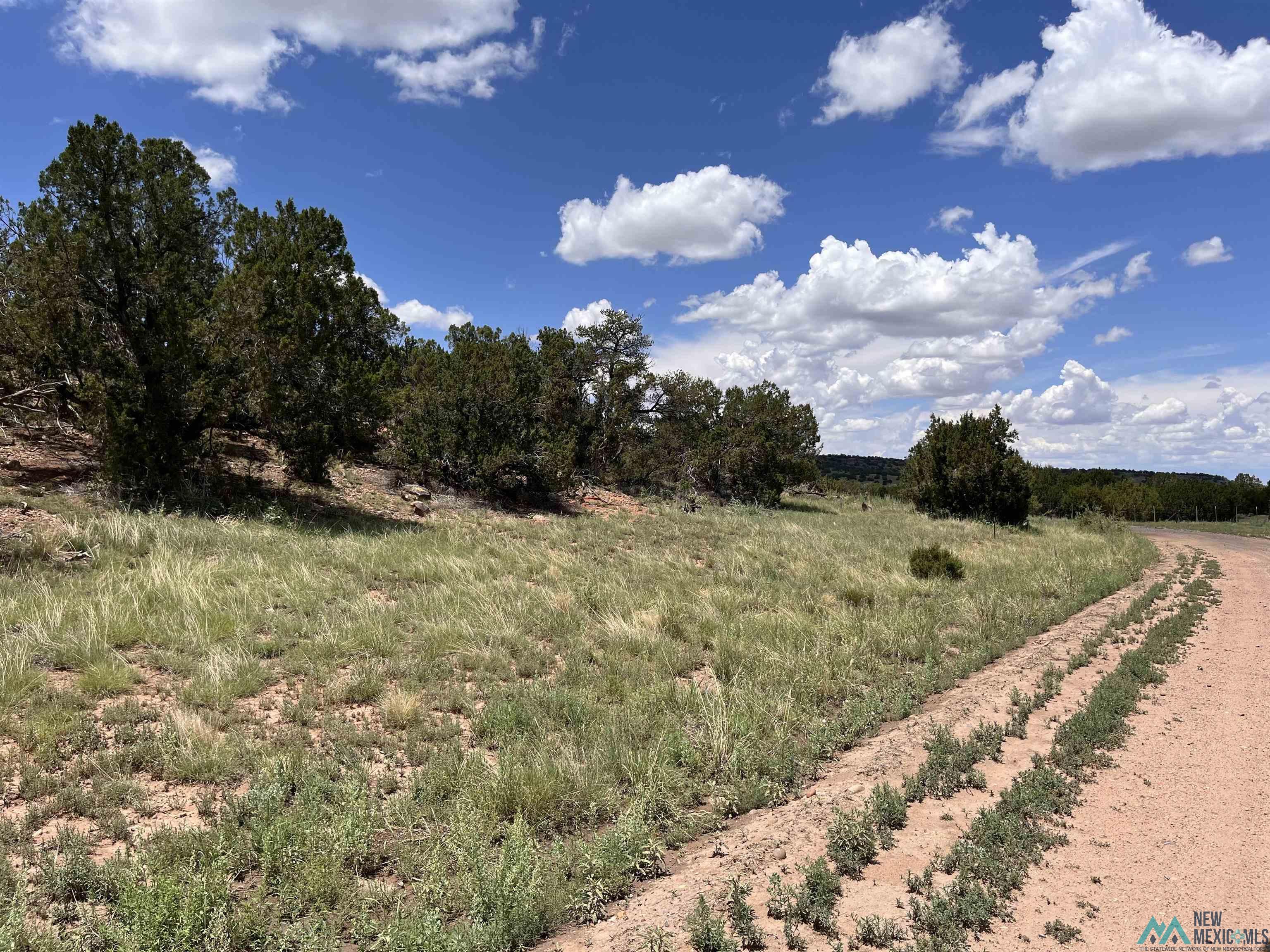 Lot 46 Cimarron Drive, Quemado, Texas image 14