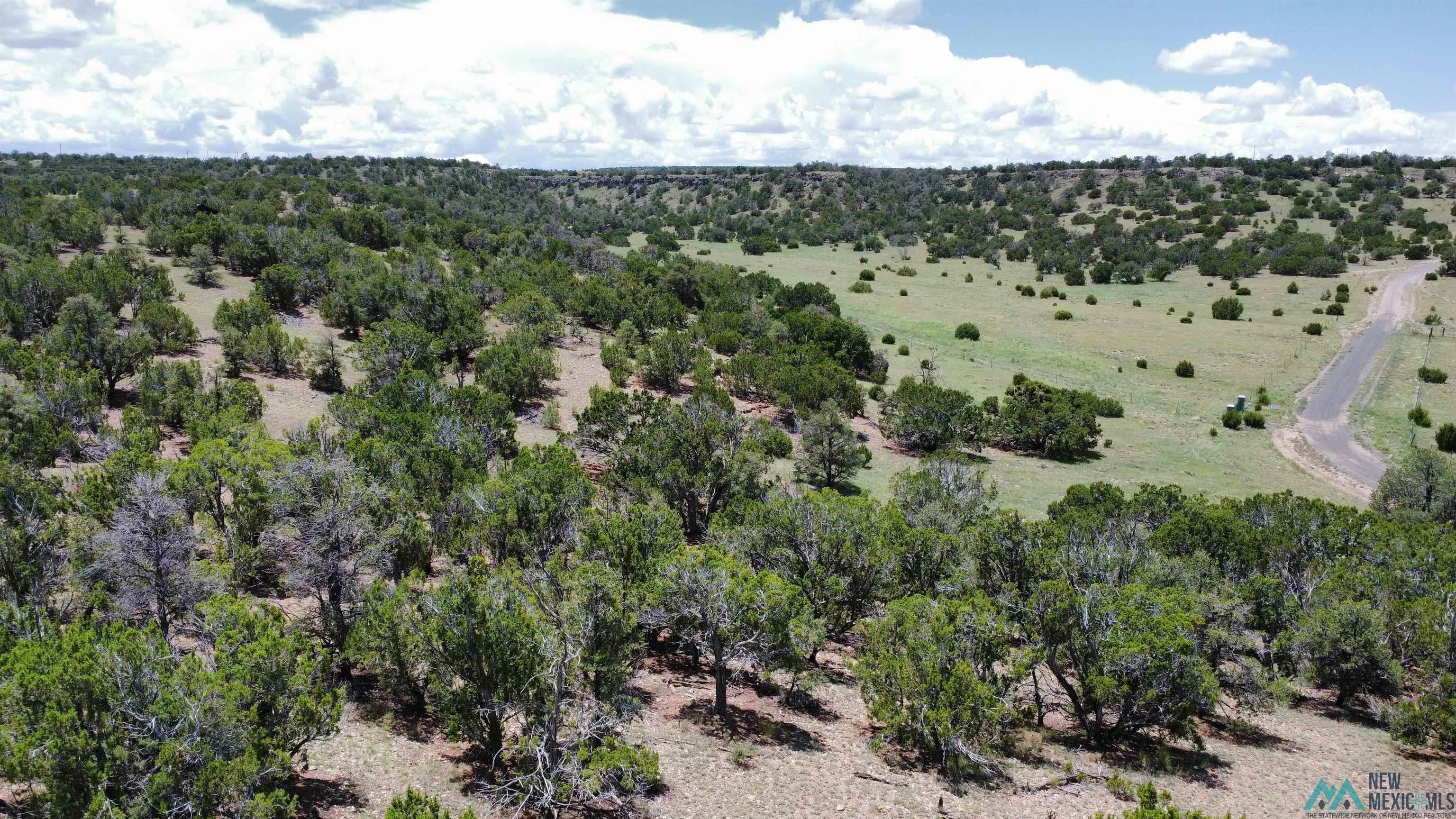 Lot 46 Cimarron Drive, Quemado, Texas image 6