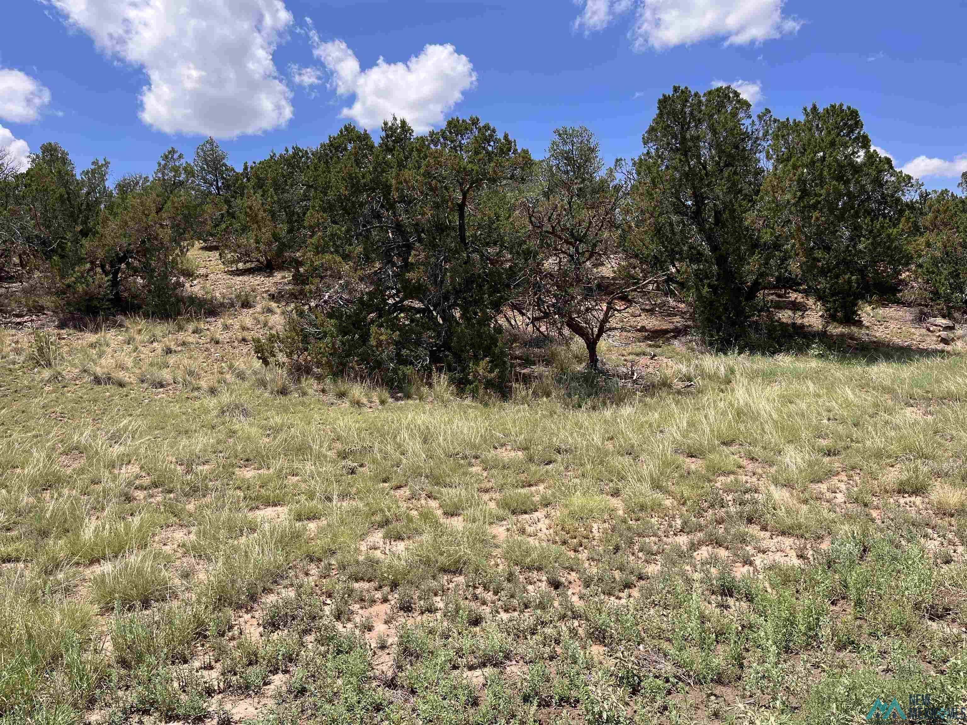 Lot 46 Cimarron Drive, Quemado, Texas image 13