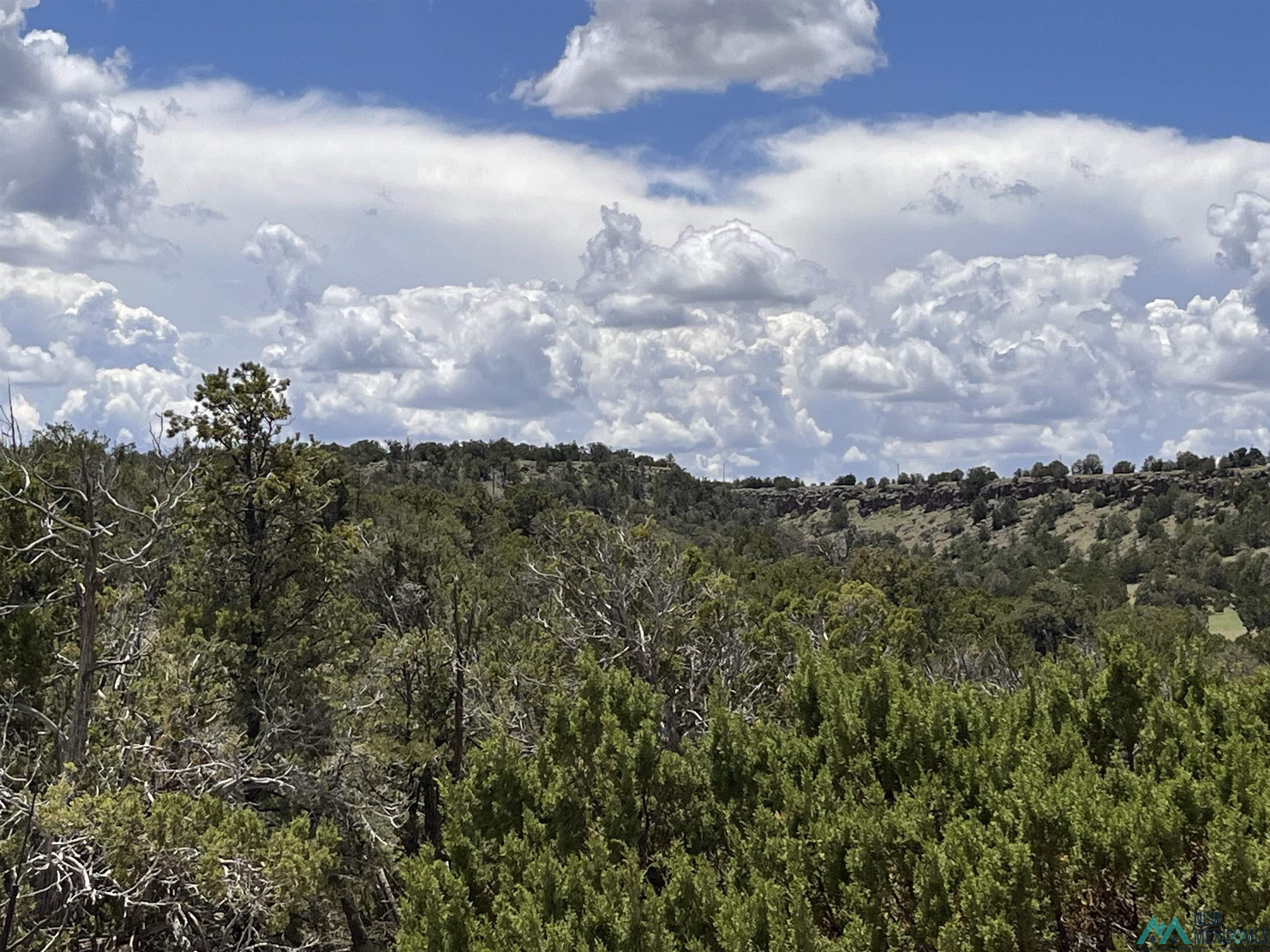 Lot 46 Cimarron Drive, Quemado, Texas image 11