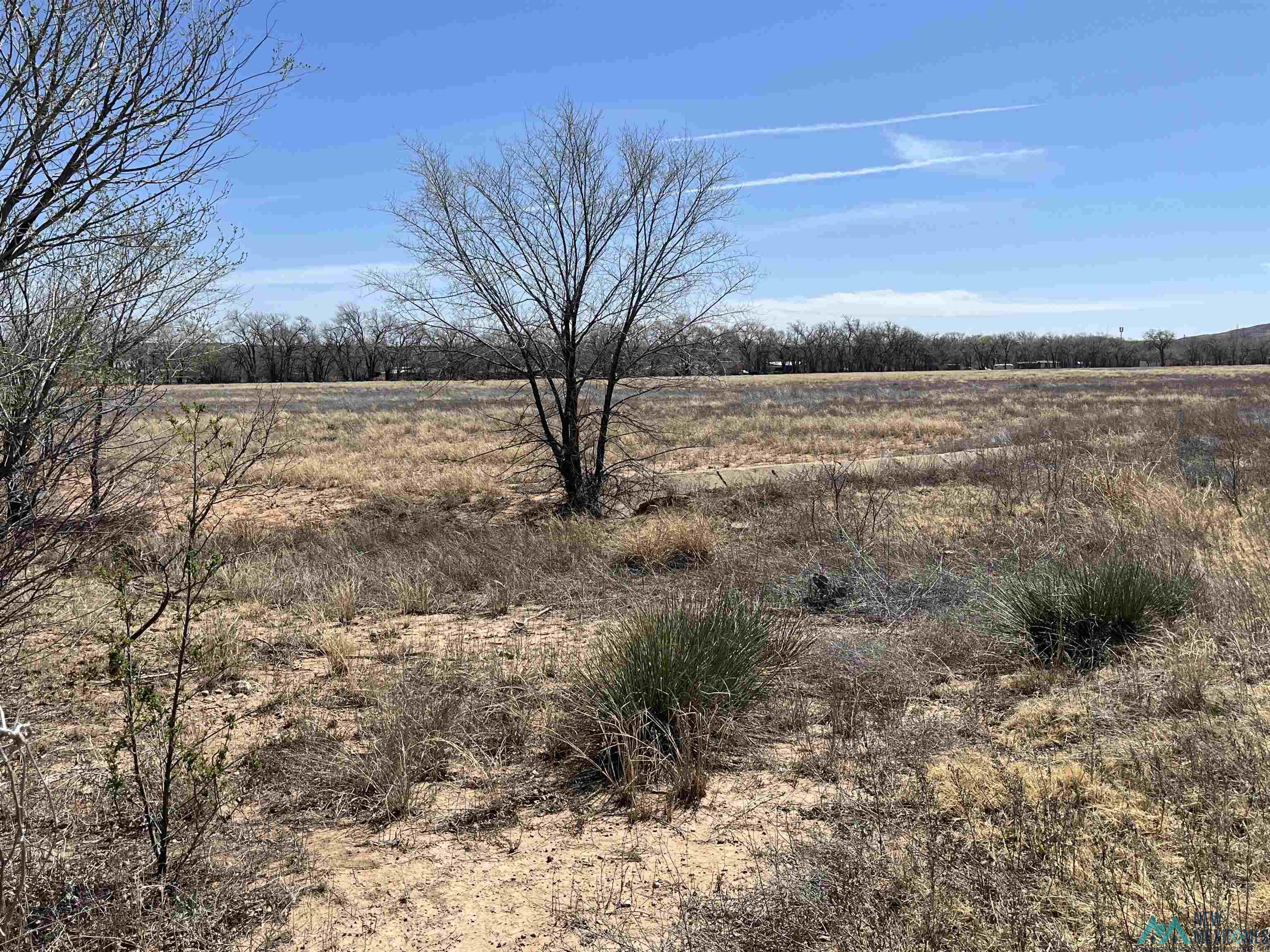 1390 E Main Street, Tucumcari, Texas image 3