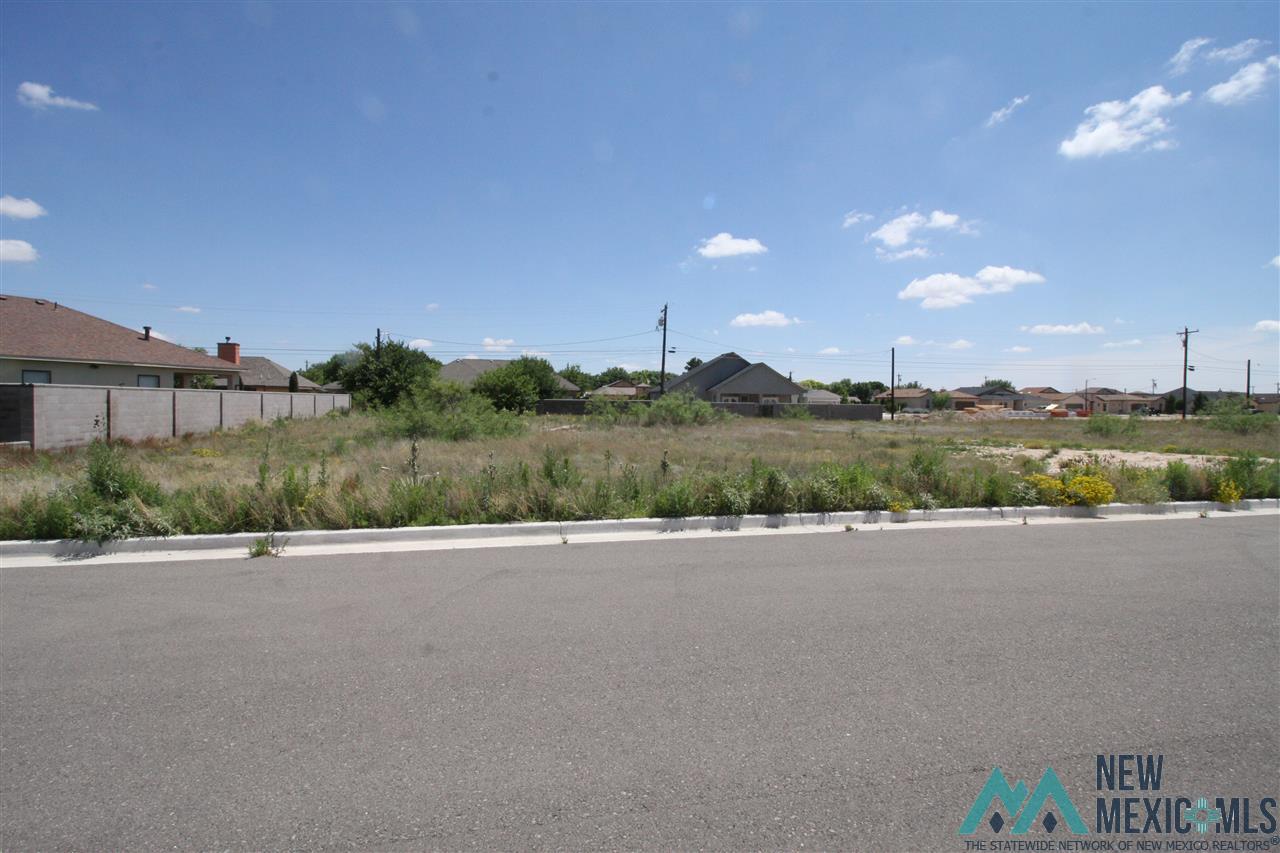 Lot 2A Blk 9 W Avenue K Street, Lovington, New Mexico image 1