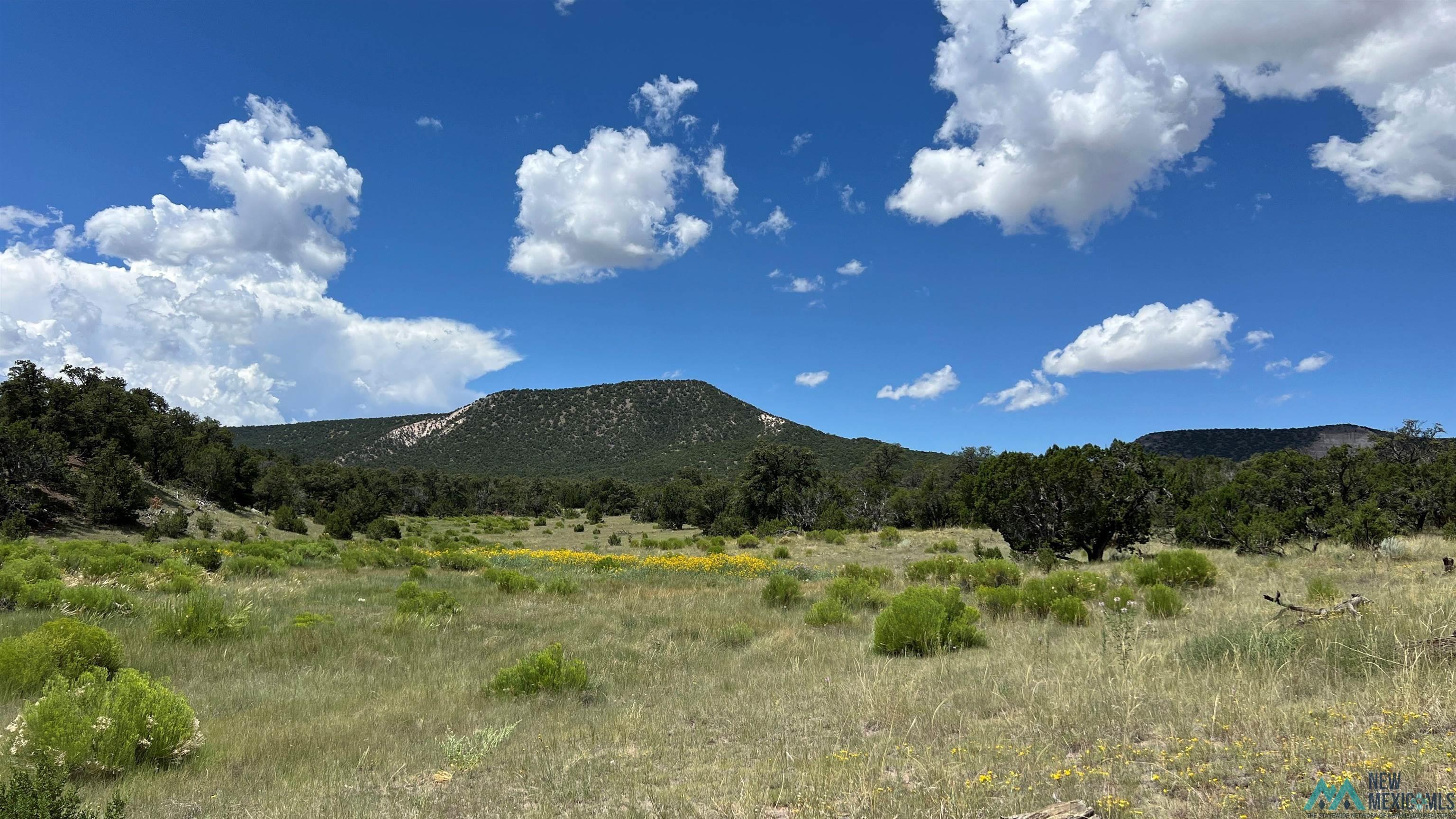 Nm - 603 Road, Quemado, New Mexico image 28