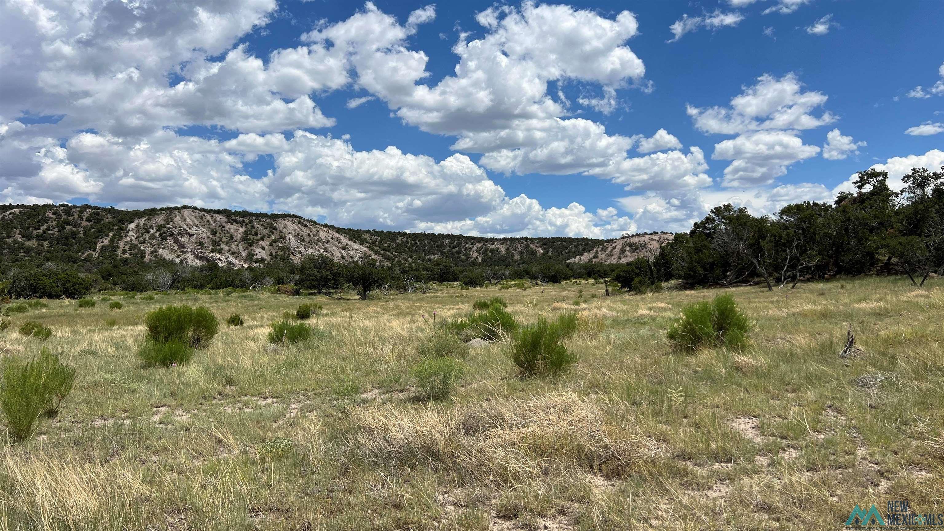 Nm - 603 Road, Quemado, New Mexico image 18