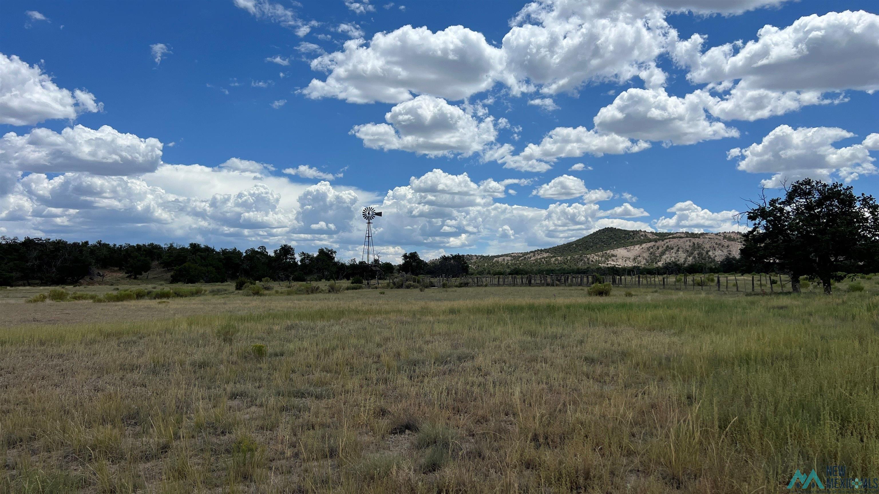 Nm - 603 Road, Quemado, New Mexico image 4