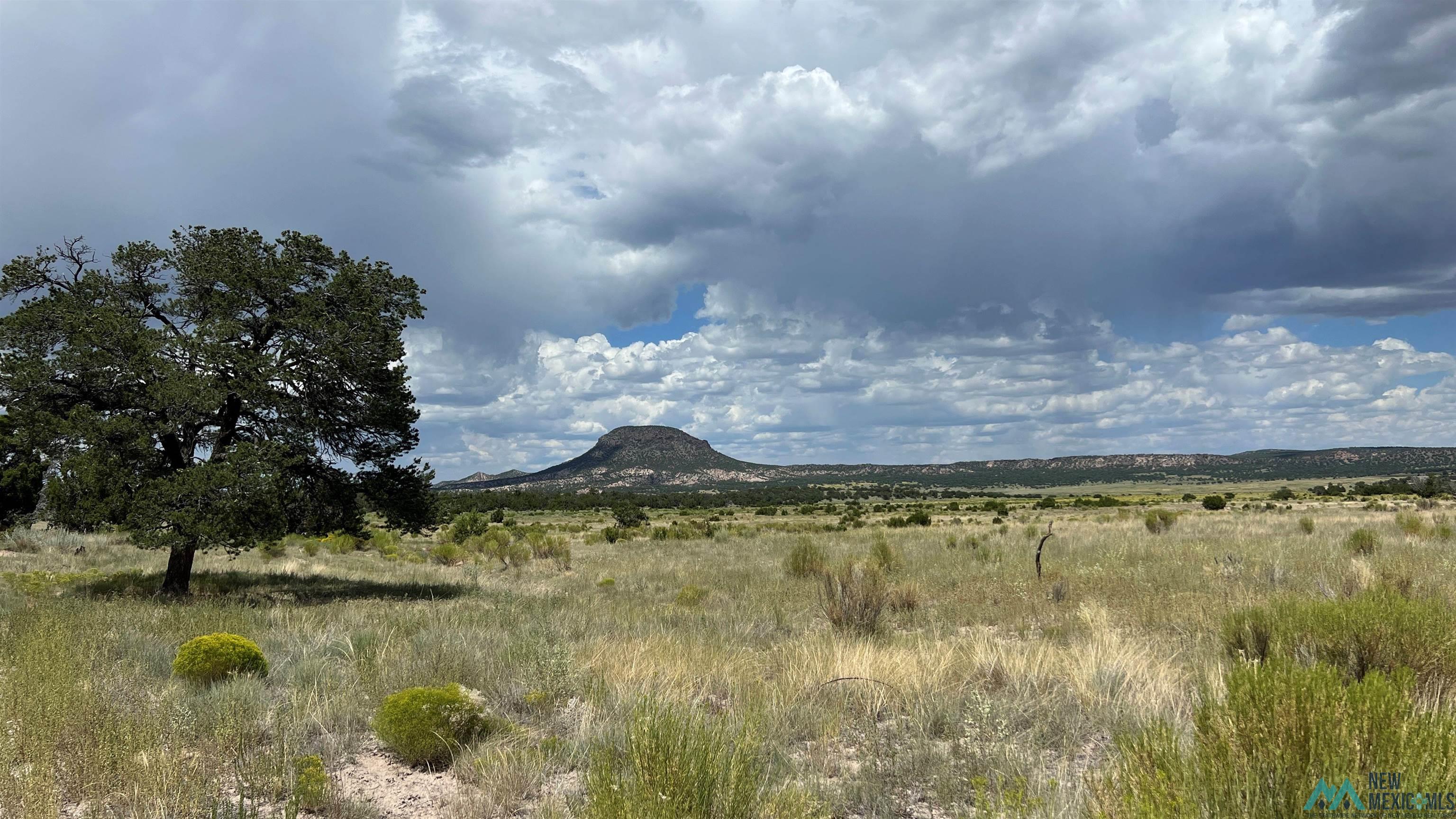 Nm - 603 Road, Quemado, New Mexico image 44